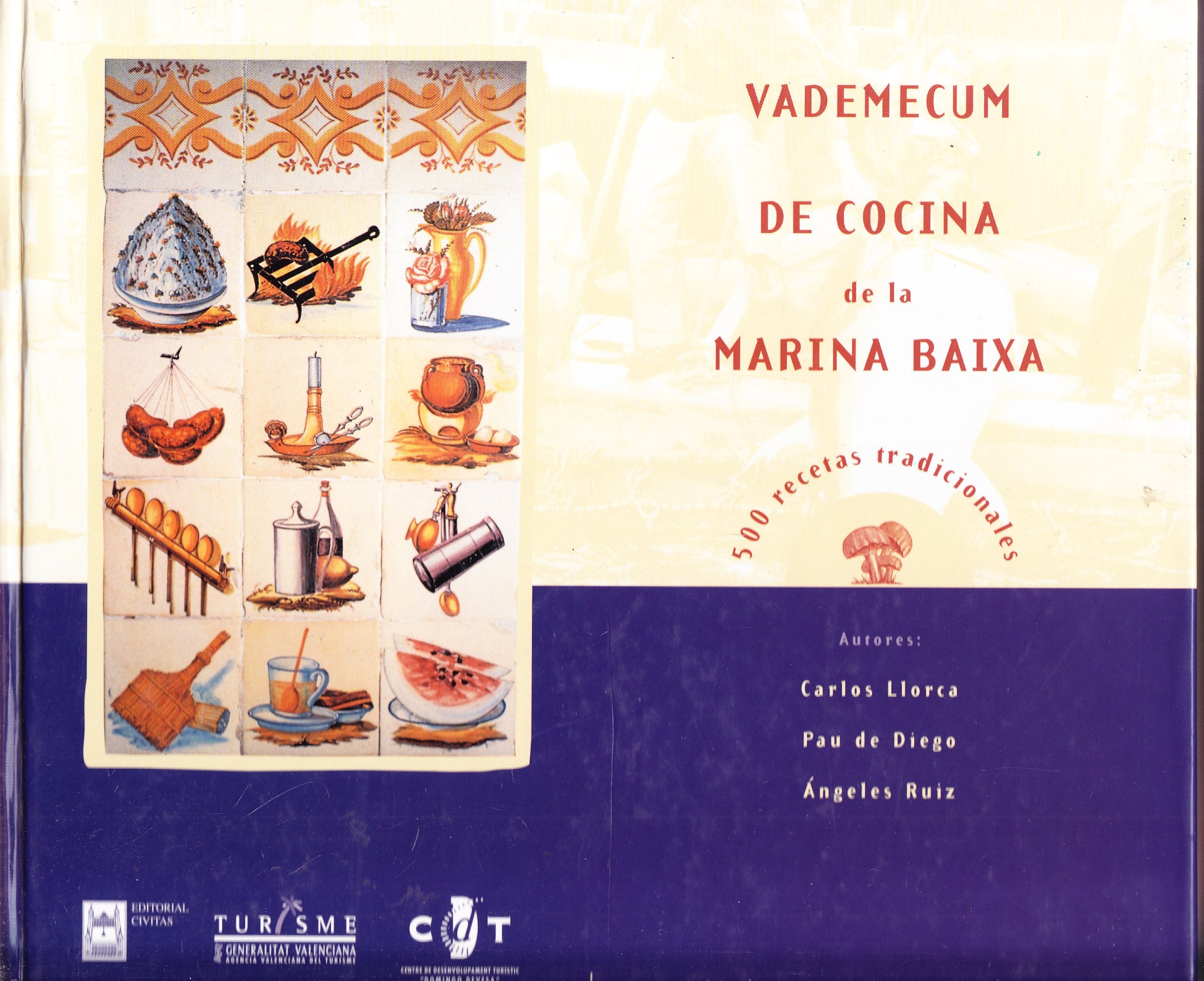 Vademécum de cocina de la Marina Baixa: 500 recetas tradicionales Books