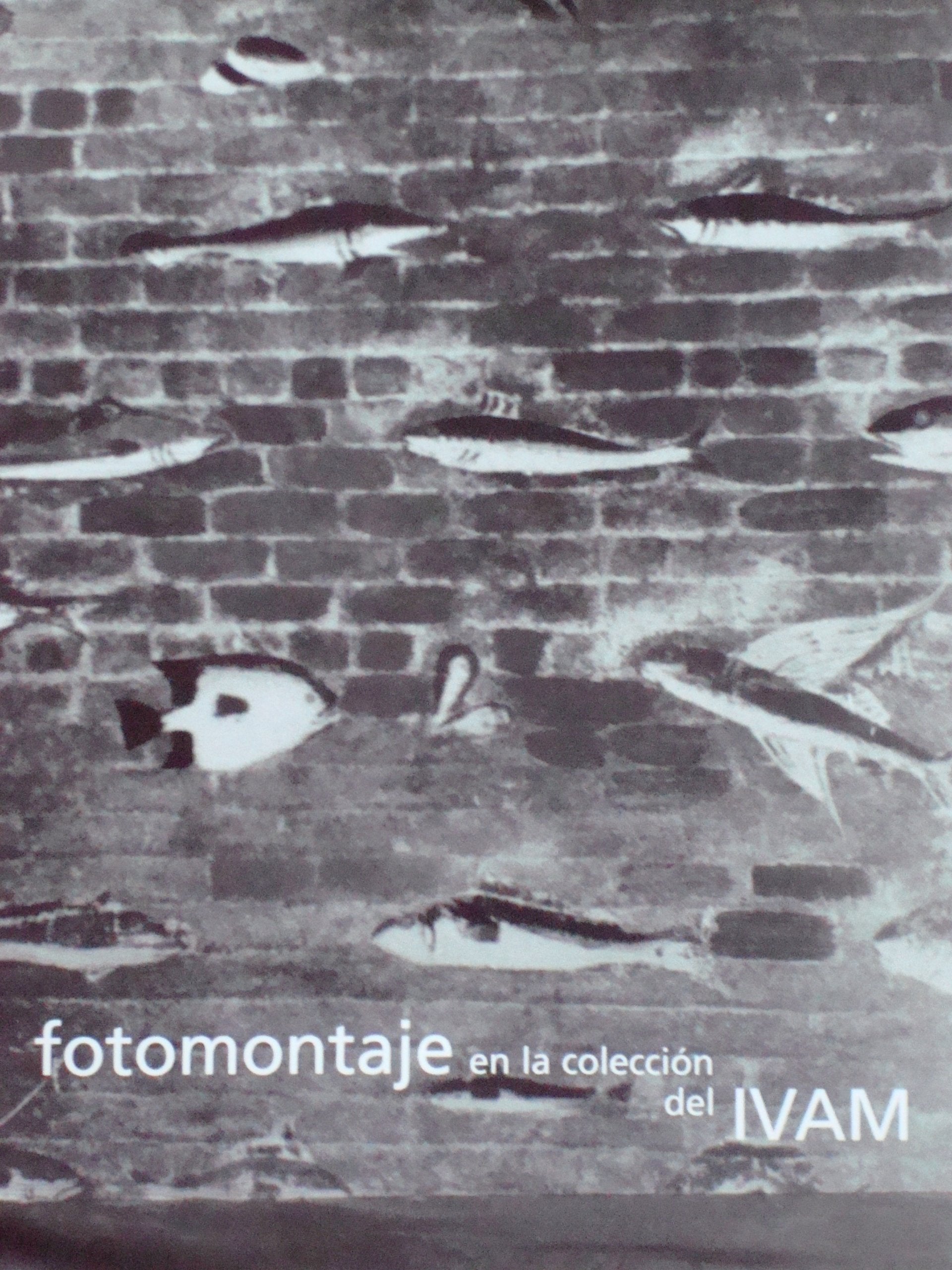Photomontage (Vol 1) (Photography and Photomontage in the Collection of Ivam) Film, Art & Culture