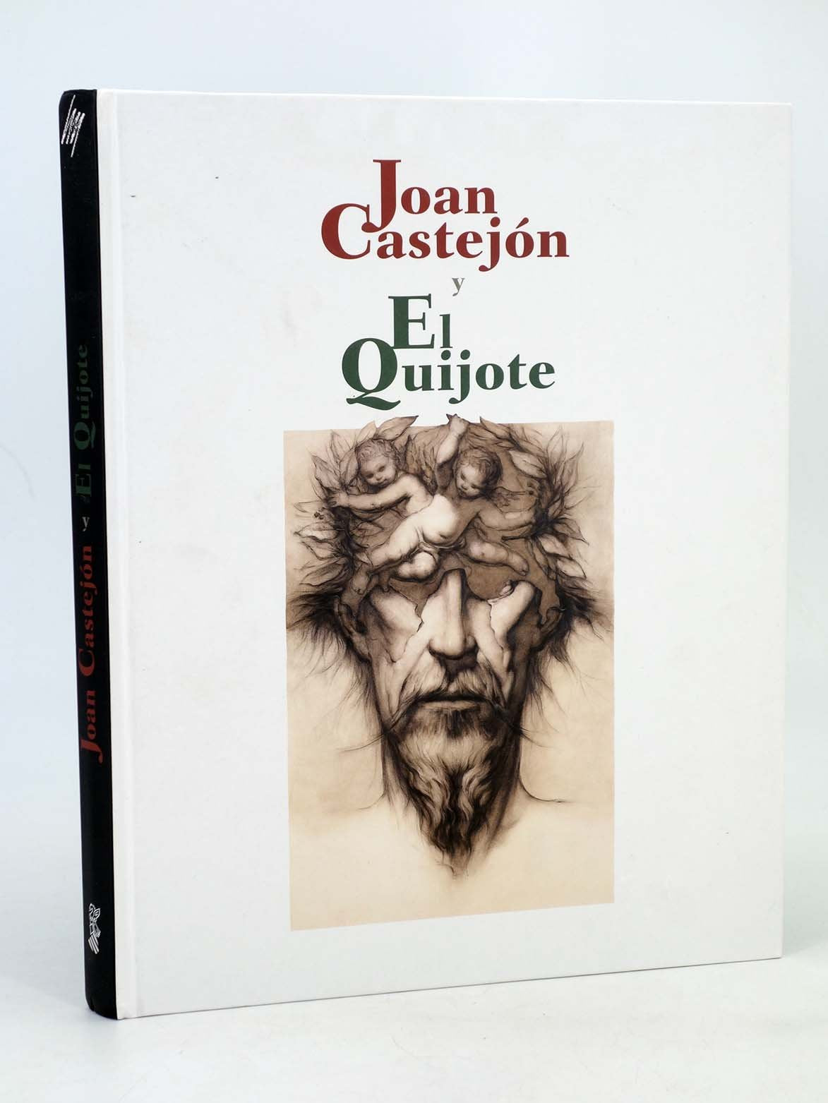 Joan castejon y el quijote (cat. exposicion) (esp-ing) book