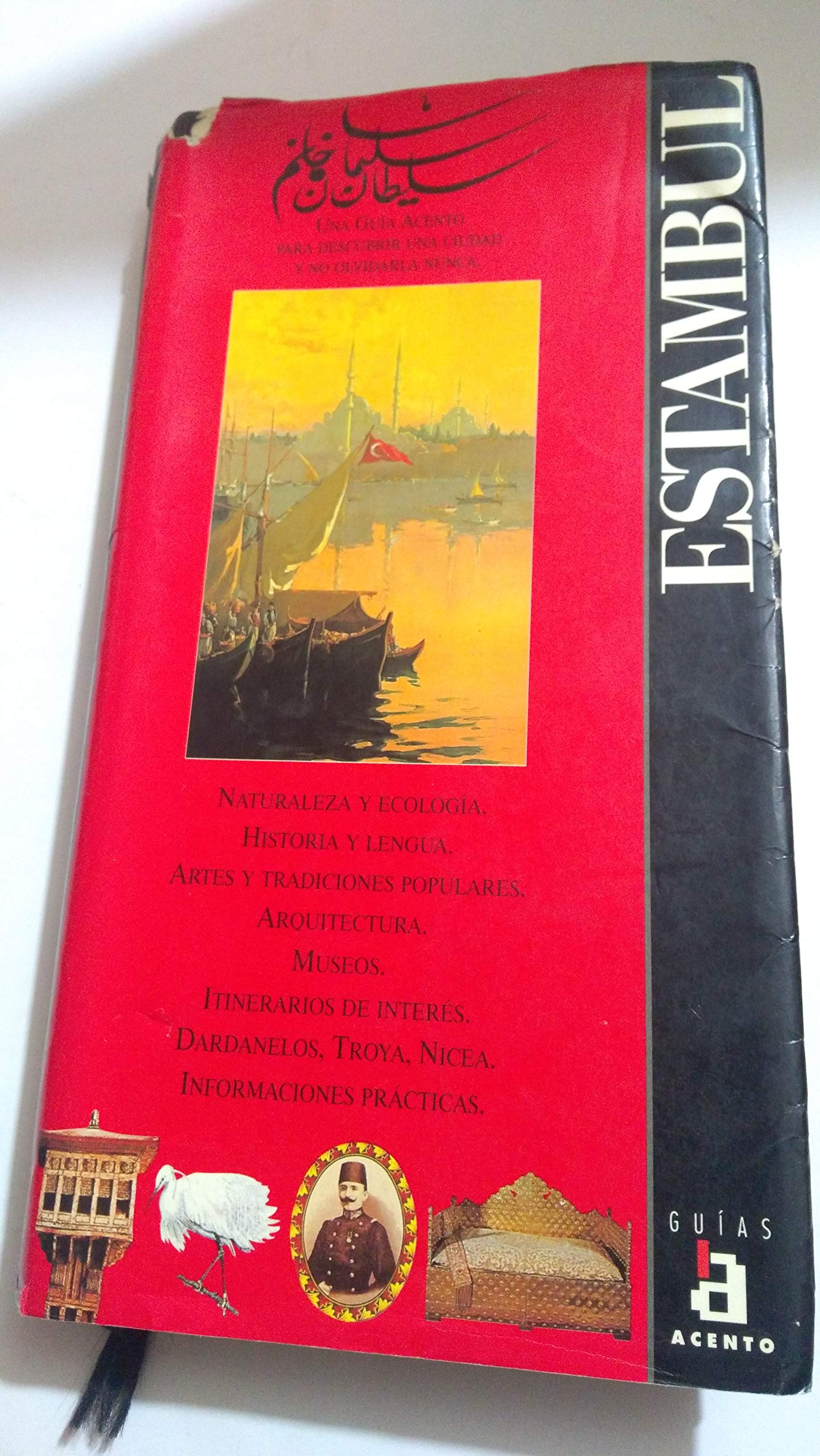 Estambul (una guia para descubrir la ciudad y no olvidarla nunca ) Books