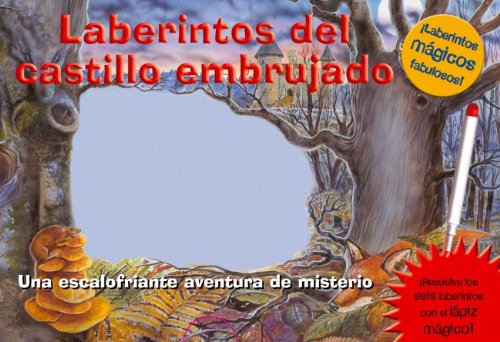 Laberintos del castillo embrujado (LABERINTOS MAGICOS, Band 150802) Books