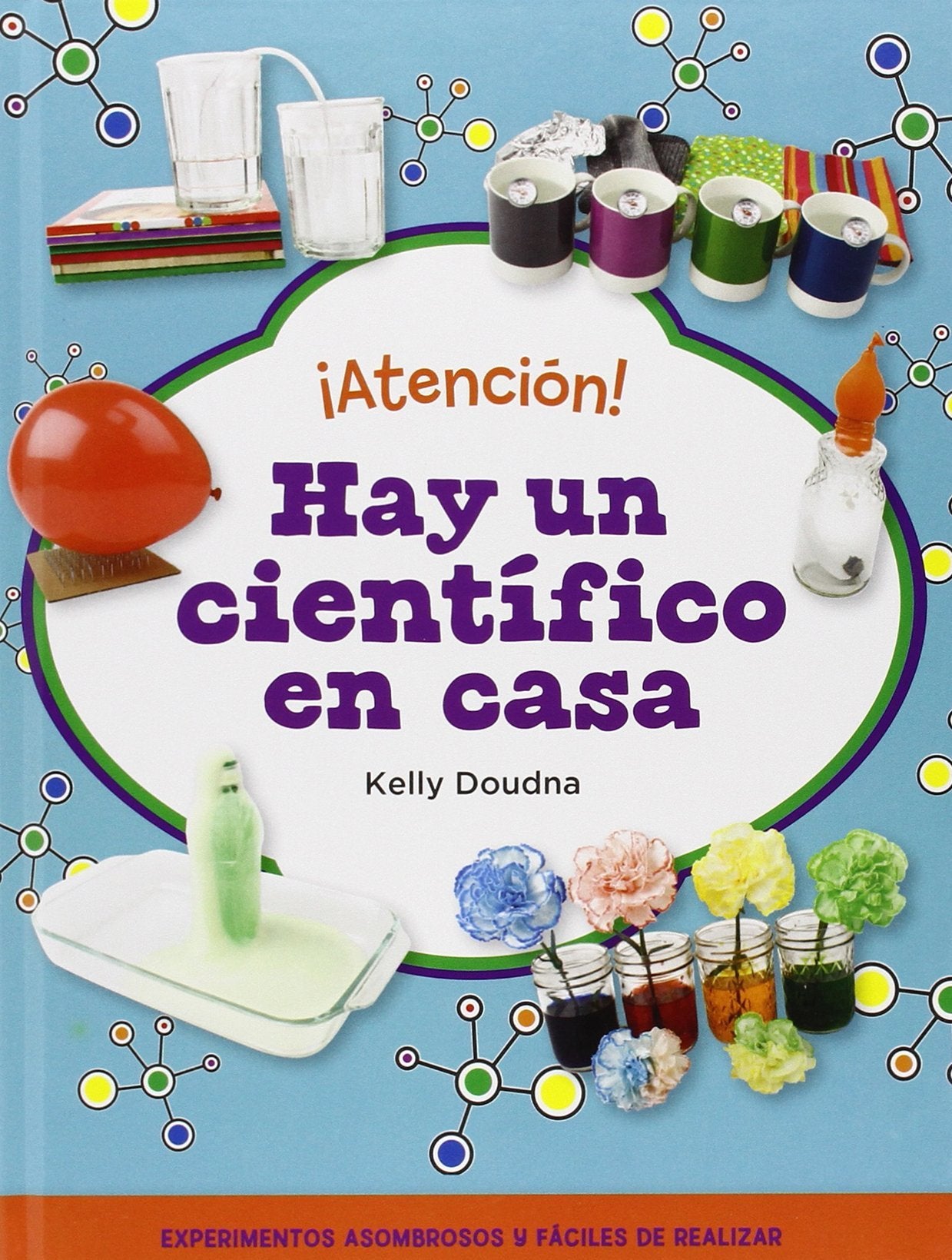 ¡Atención! hay un científico en casa. Realiza increíbles experimentos con objetos sencillos Social Sciences