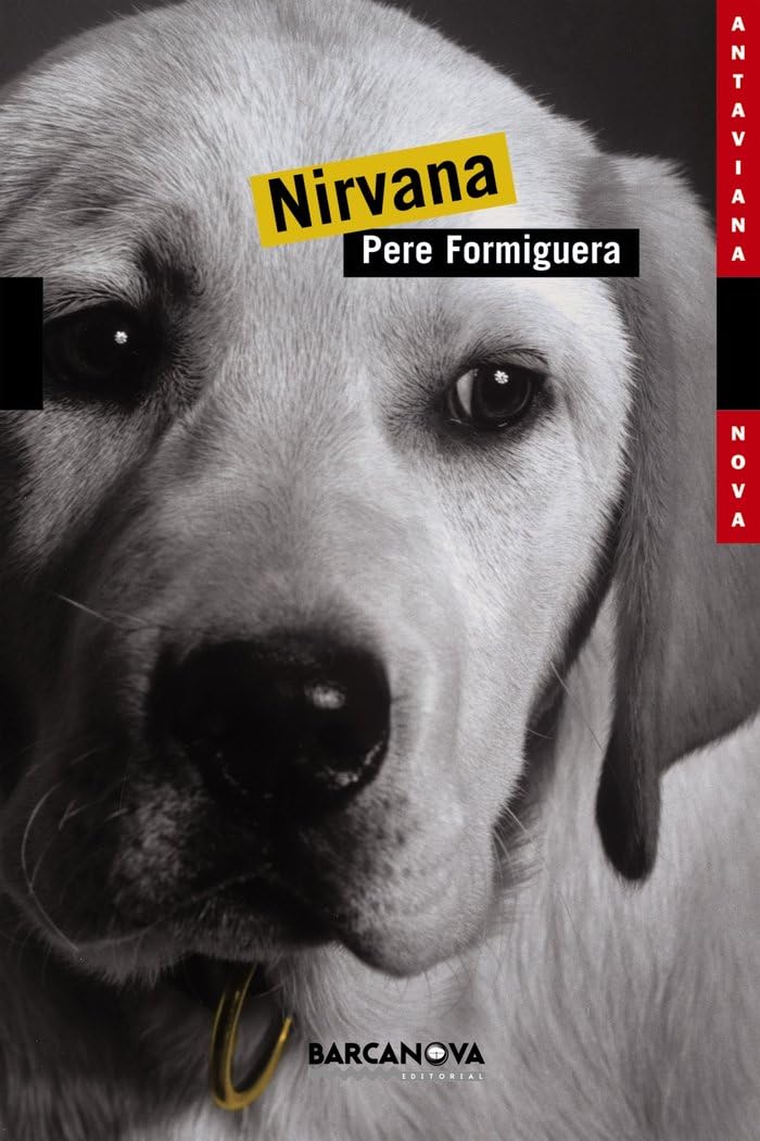 Nirvana (Llibres infantils i juvenils - Antaviana - Antaviana Nova, Band 1452096) Contemporary literature