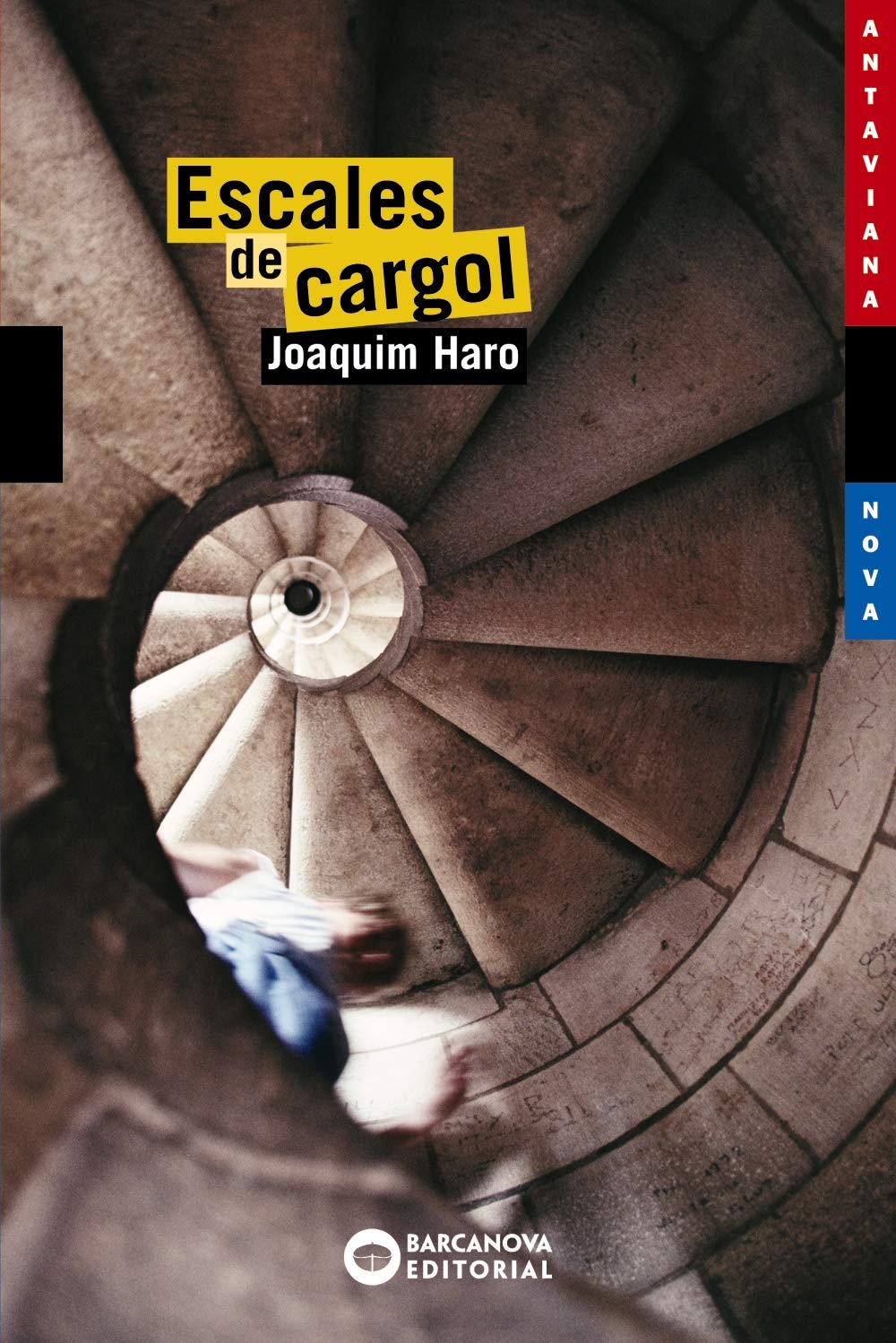 Escales De Cargol / Spiral Staircases book