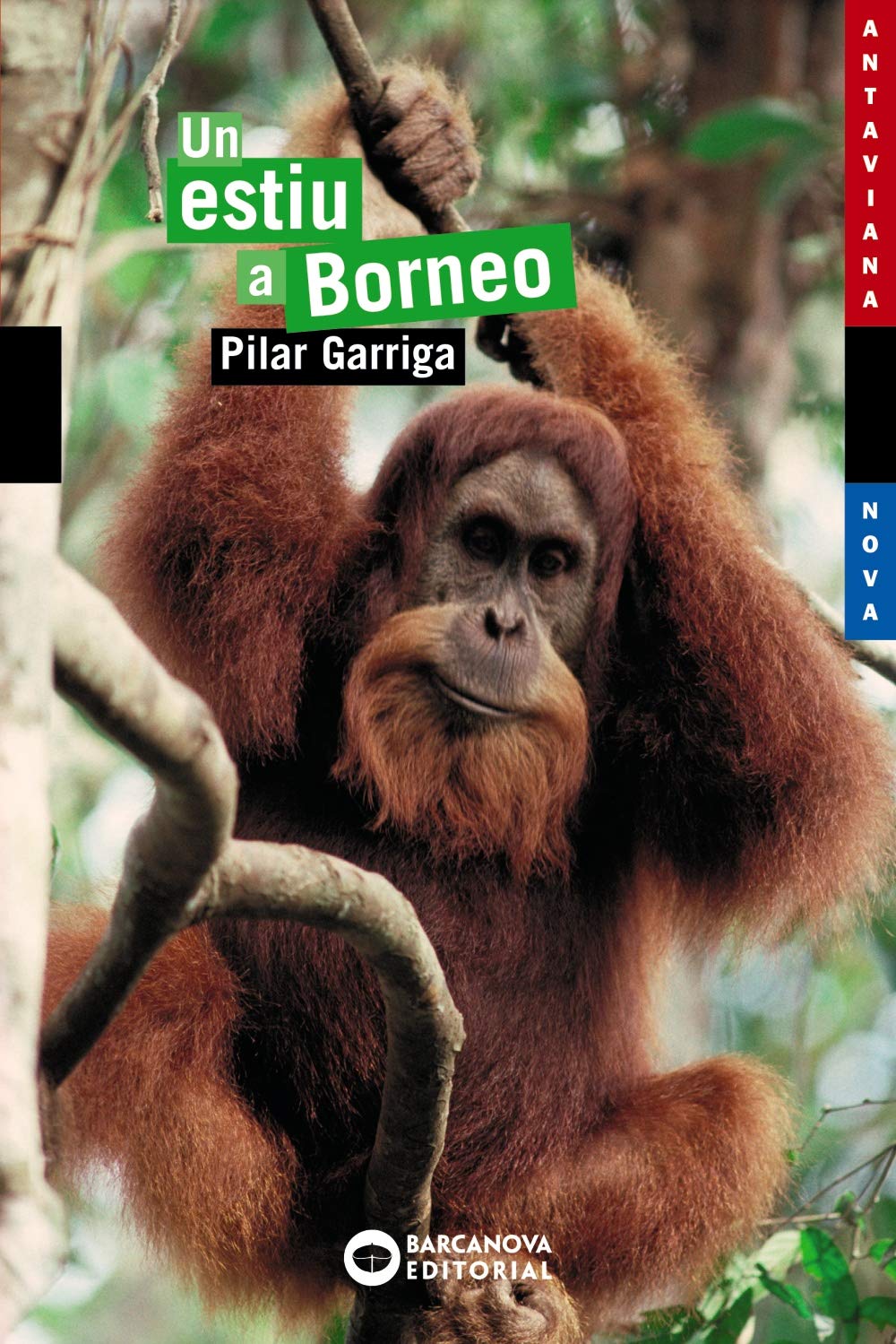 Un Estiu a Borneo / A Summer in Borneo book