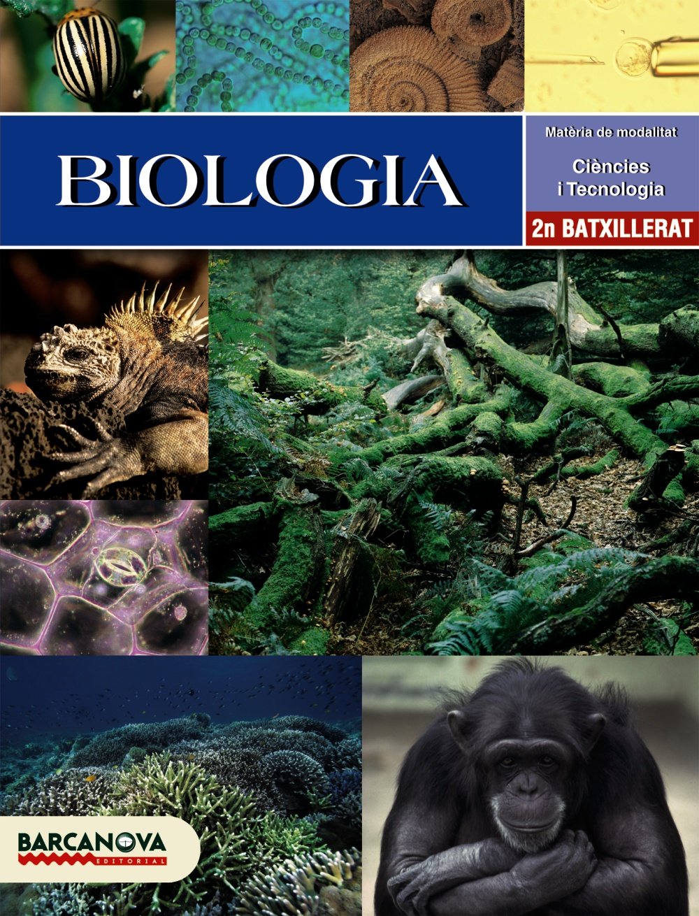 Biologia, 2 Batxillerat (Baleares, Cataluña) (Arrels) Learning & Reference
