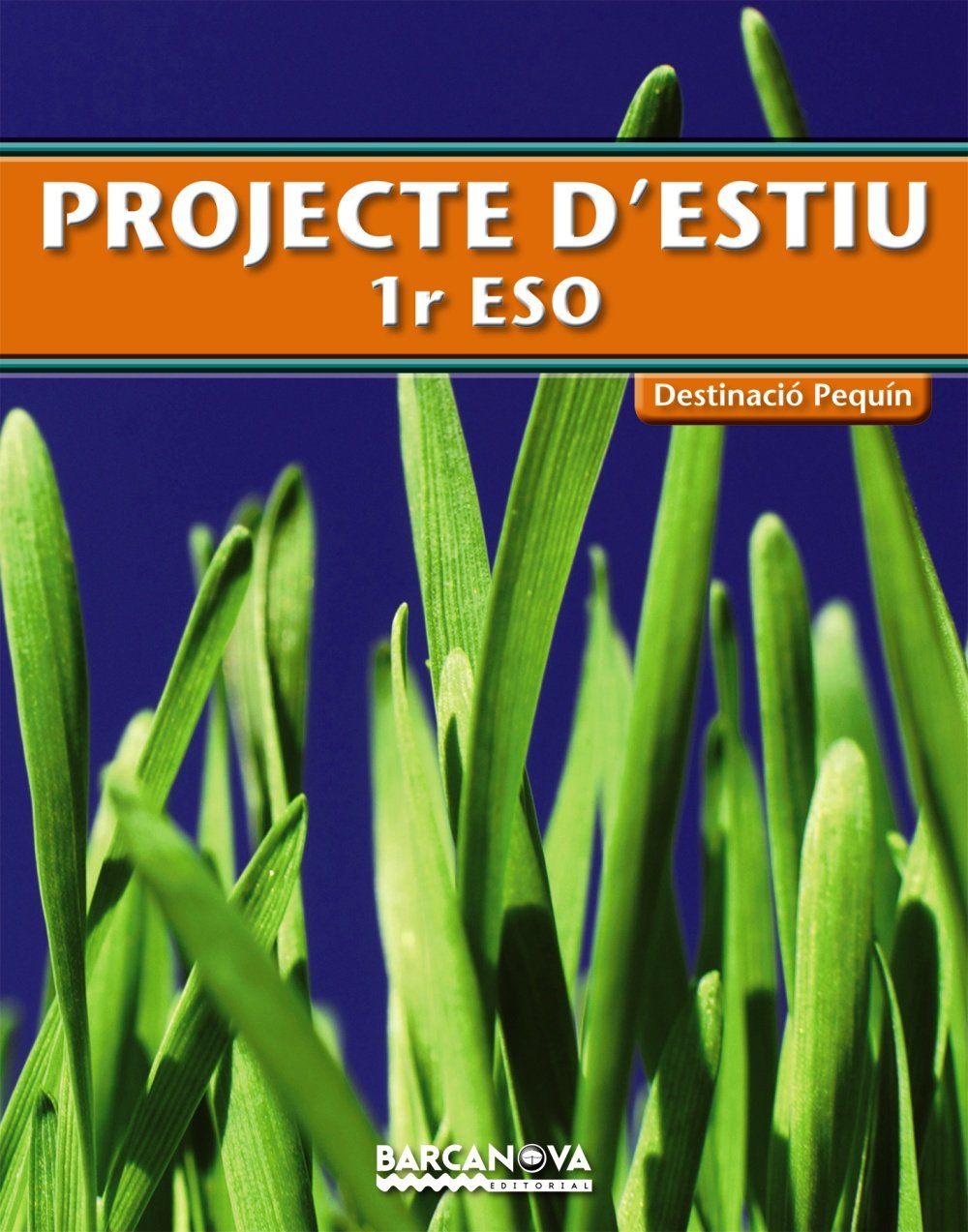 Projecte d'Estiu, Destinació Pequín, 1 ESO (Baleares, Catalunya) (Materials Educatius - Material Complementari Eso) Books