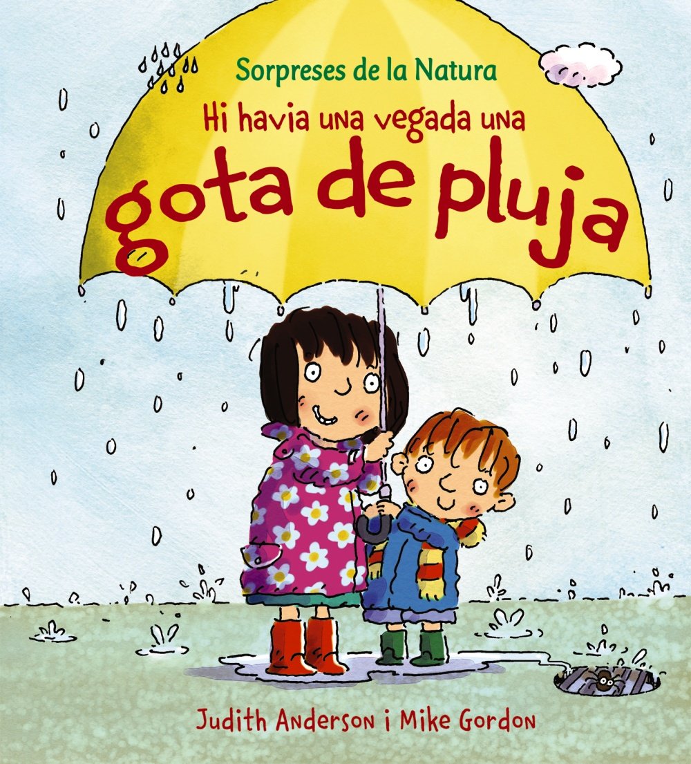 Hi havia una vegada una gota de pluja book