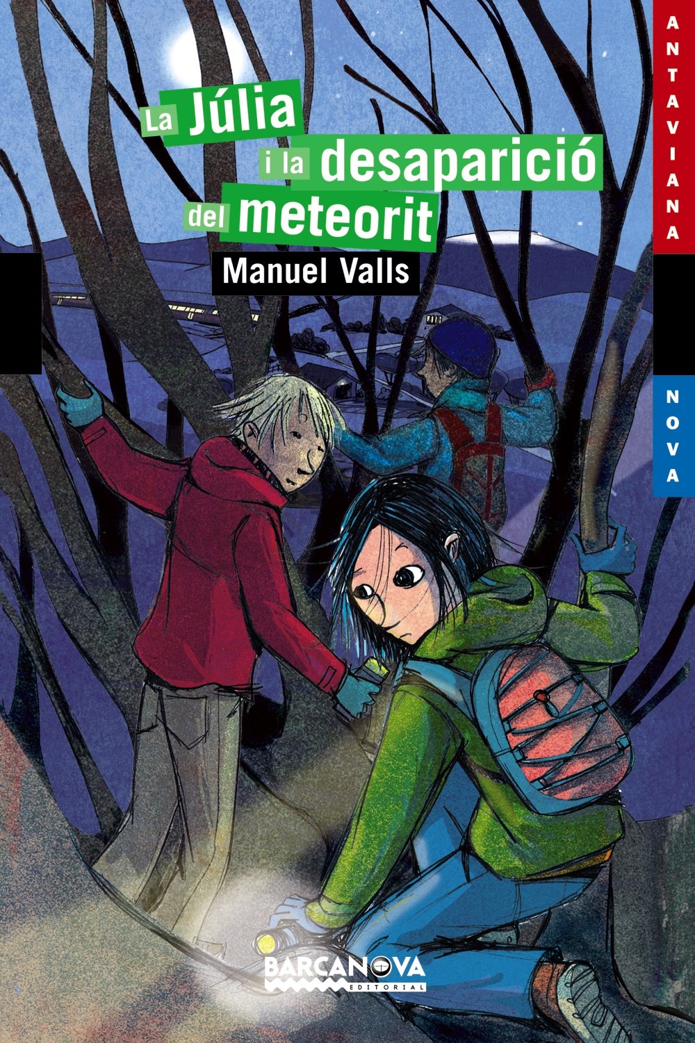 La Júlia i la desaparició del meteorit book