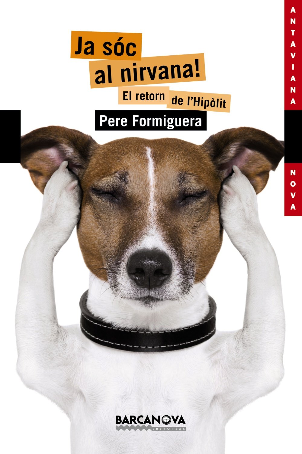 Ja sóc al nirvana! : El retorn de l'Hipòlit (Llibres Infantils I Juvenils - Antaviana - Antaviana Nova) Social Sciences