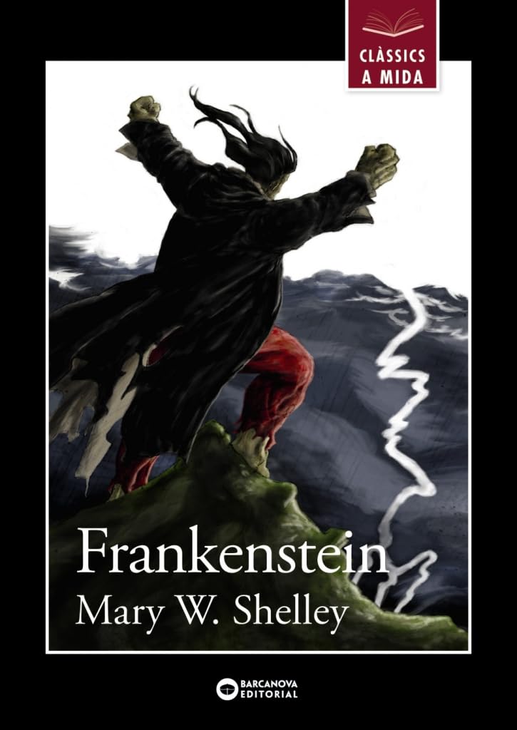 Frankenstein (Llibres infantils i juvenils - Clàssics a mida) Fiction