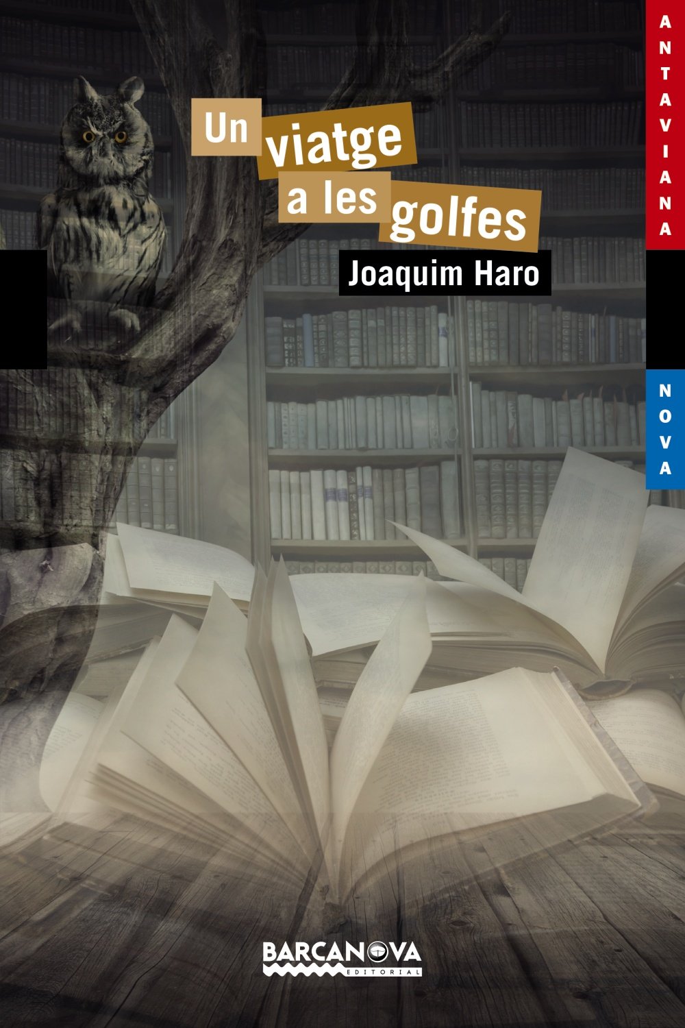Un viatge a les golfes book