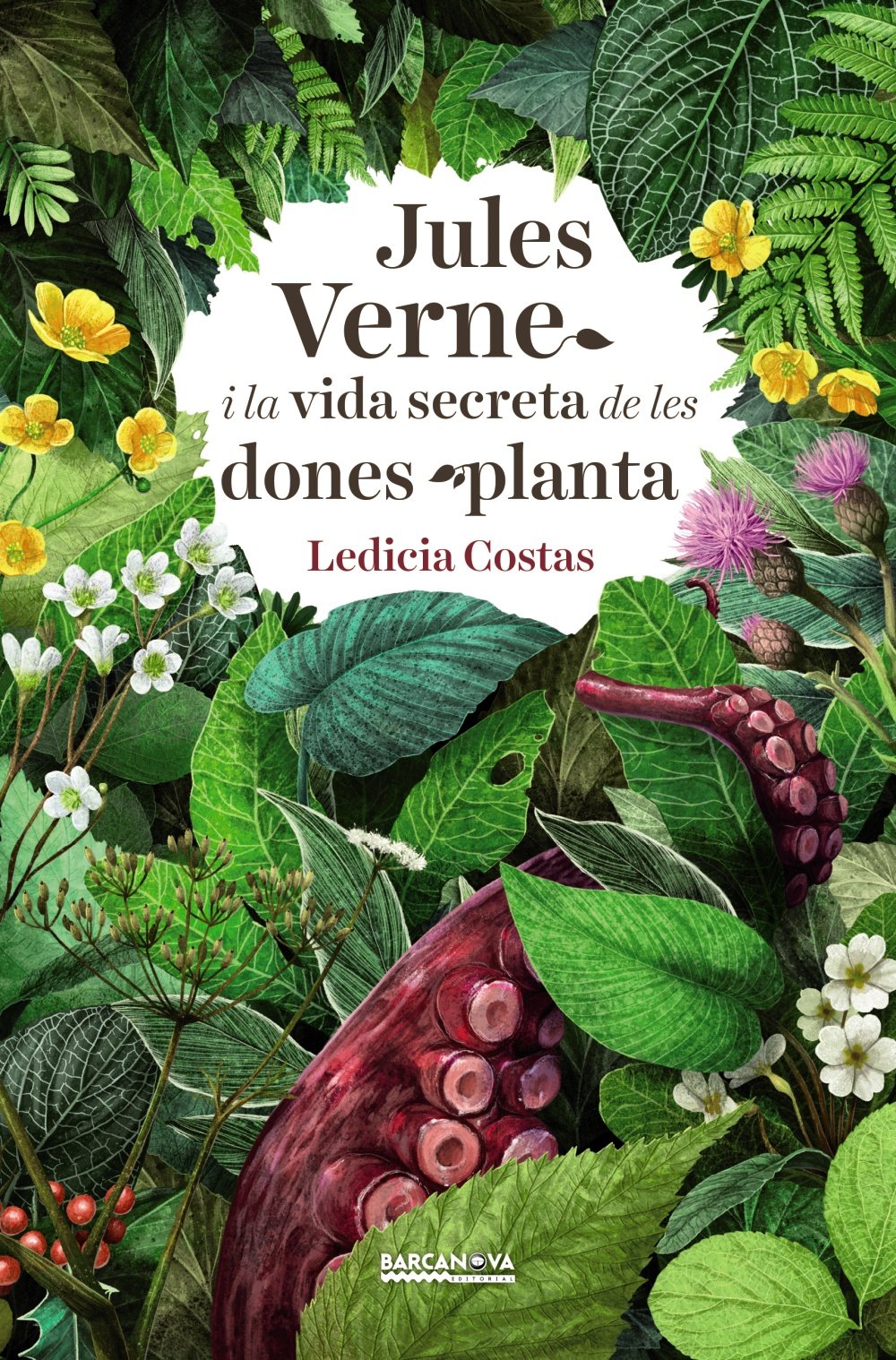 Jules Verne i la vida secreta de les dones planta book