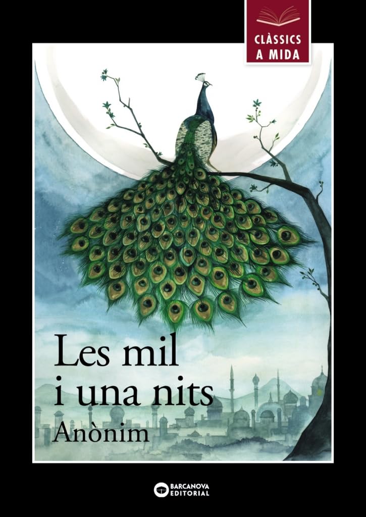 Les mil i una nits (Llibres infantils i juvenils - Clàssics a mida) Social Sciences