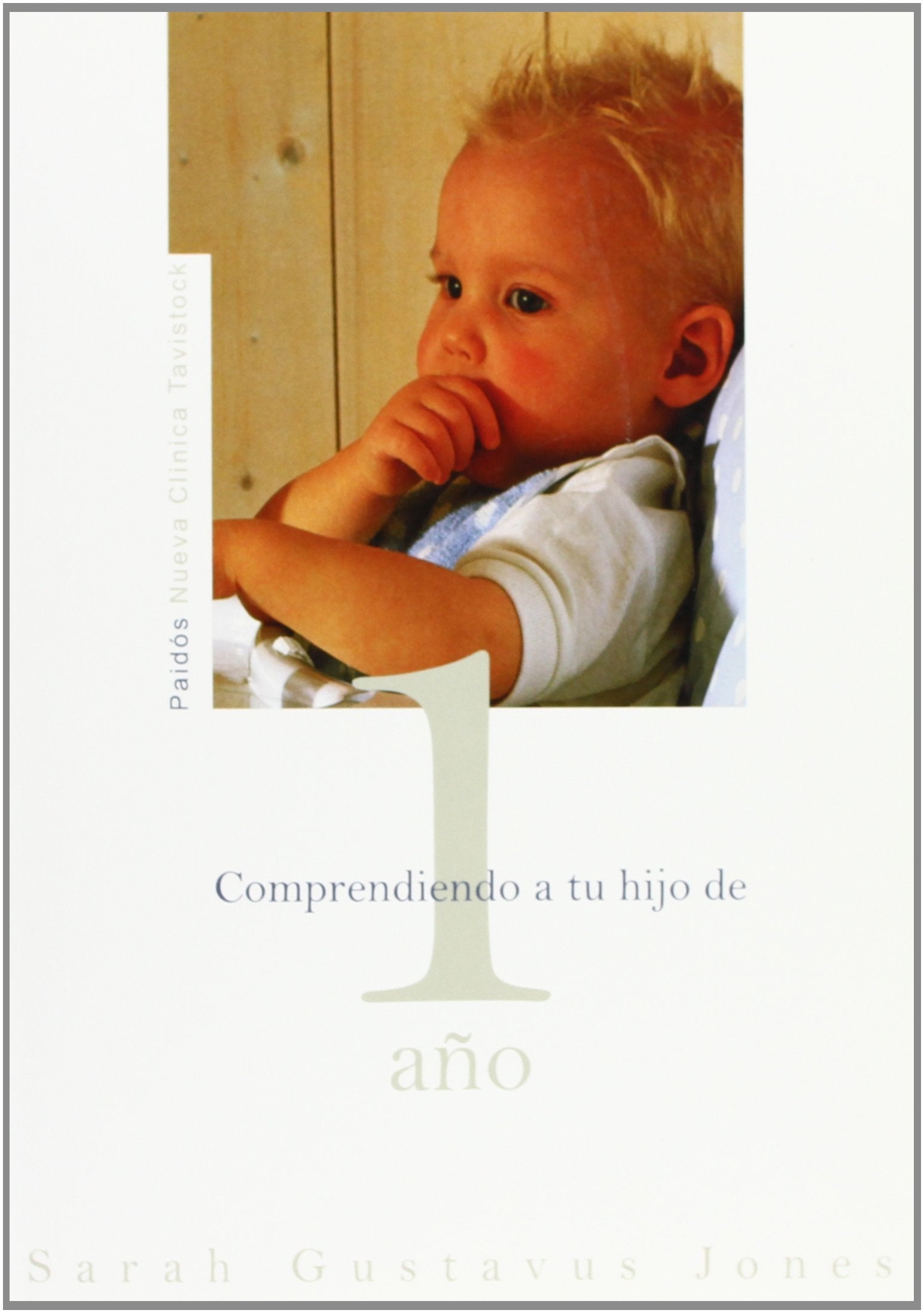 Comprendiendo a tu hijo de 1 Ano/ Understanding Your One-Year-Old book