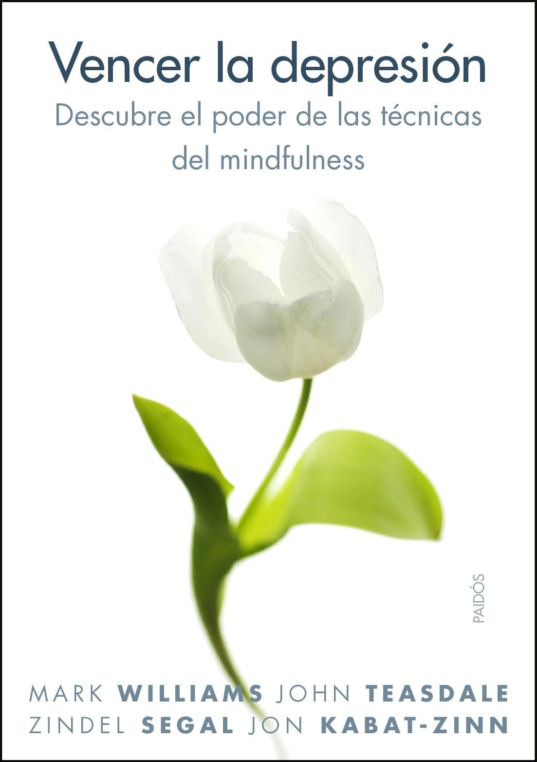 Vencer la depresión : descubre el poder de las prácticas del mindfulness: Descubre el poder de las técnicas del mindfulness (Divulgación, Band 260) Books