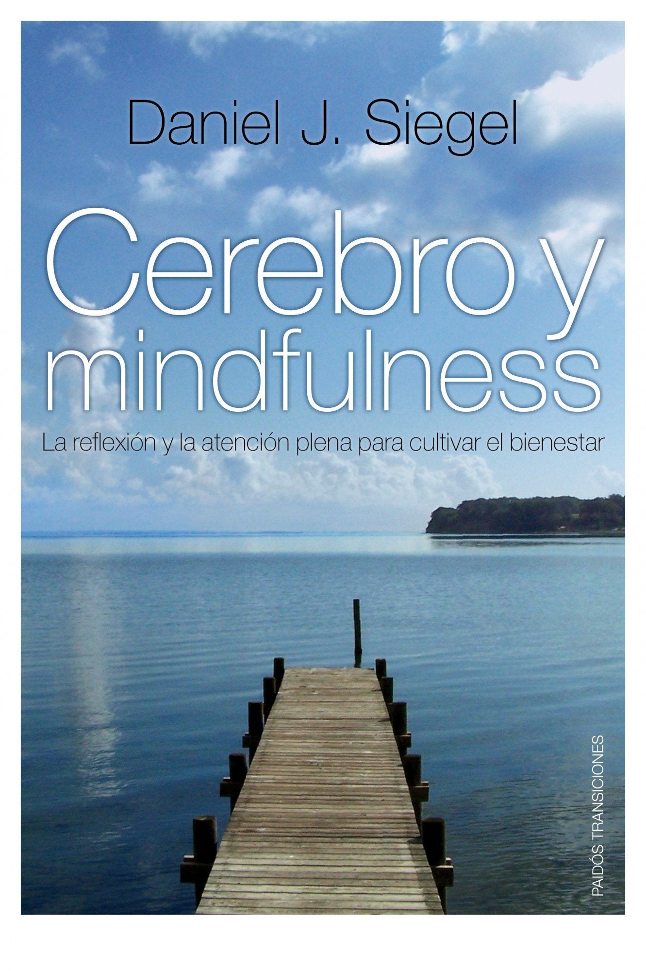 Cerebro y mindfulness: La reflexión y la atención plena para cultivar el bienestar book
