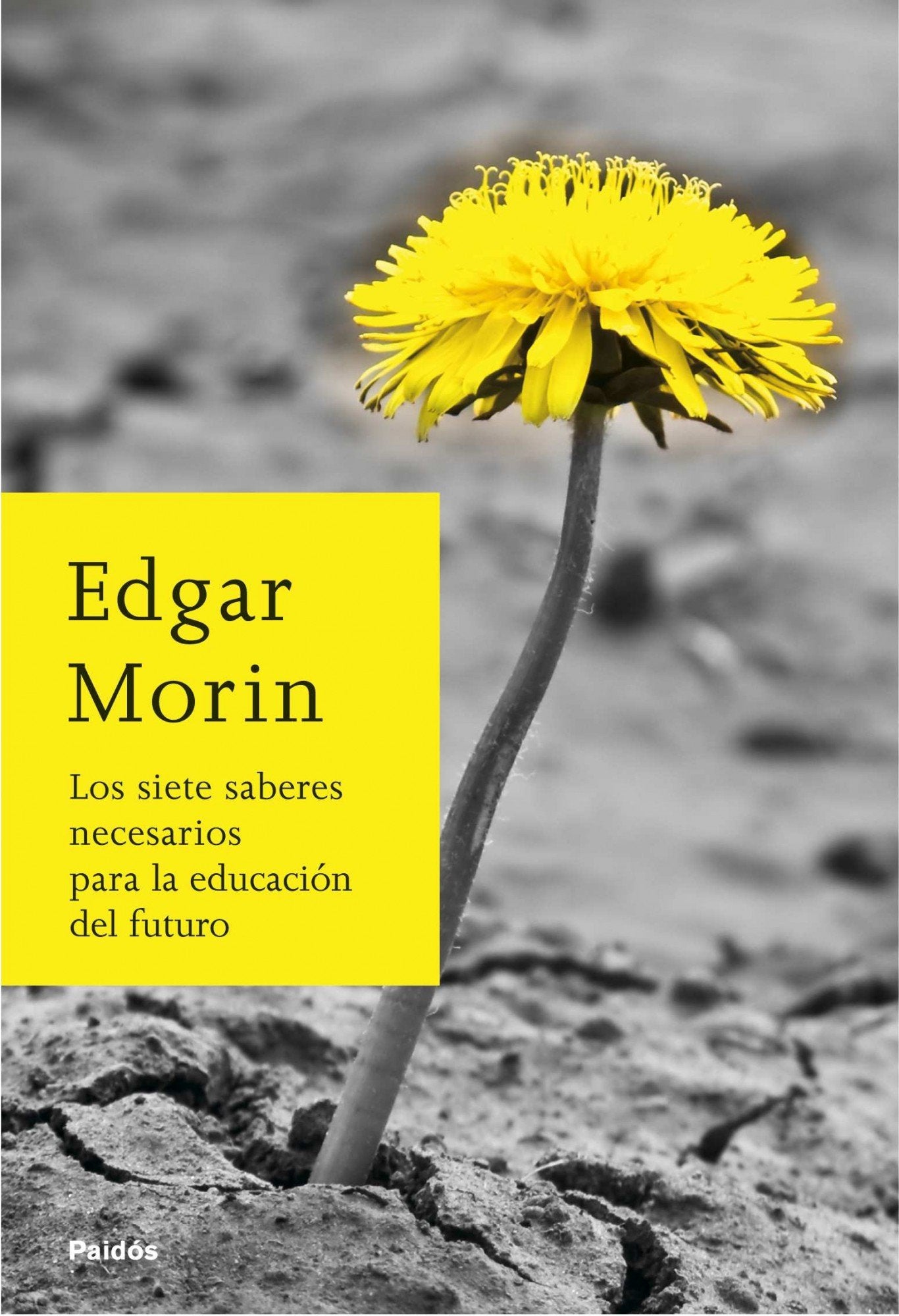 Los siete saberes necesarios para la educación del futuro book