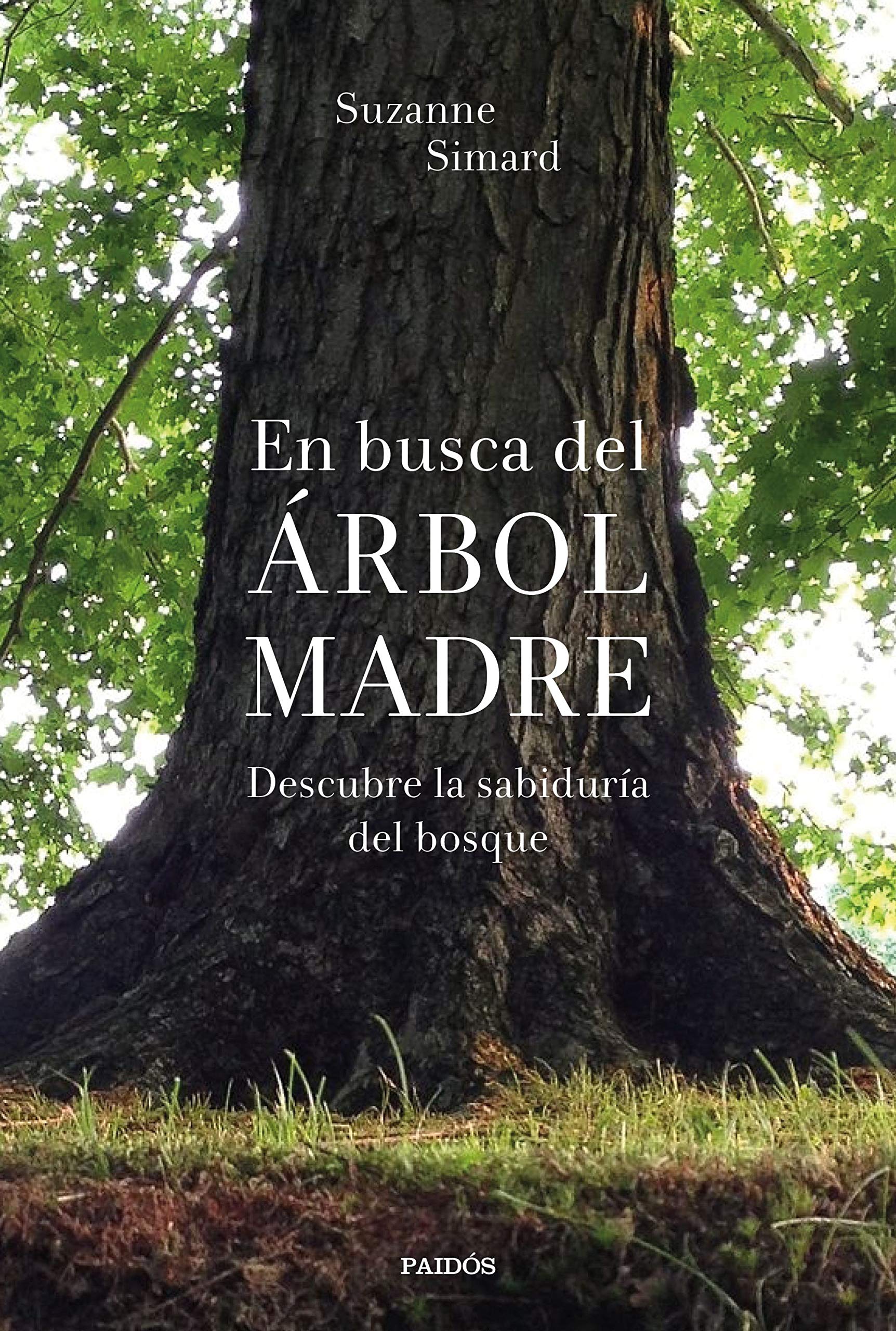En busca del Árbol Madre: Descubre la sabiduría del bosque (Contextos) Books