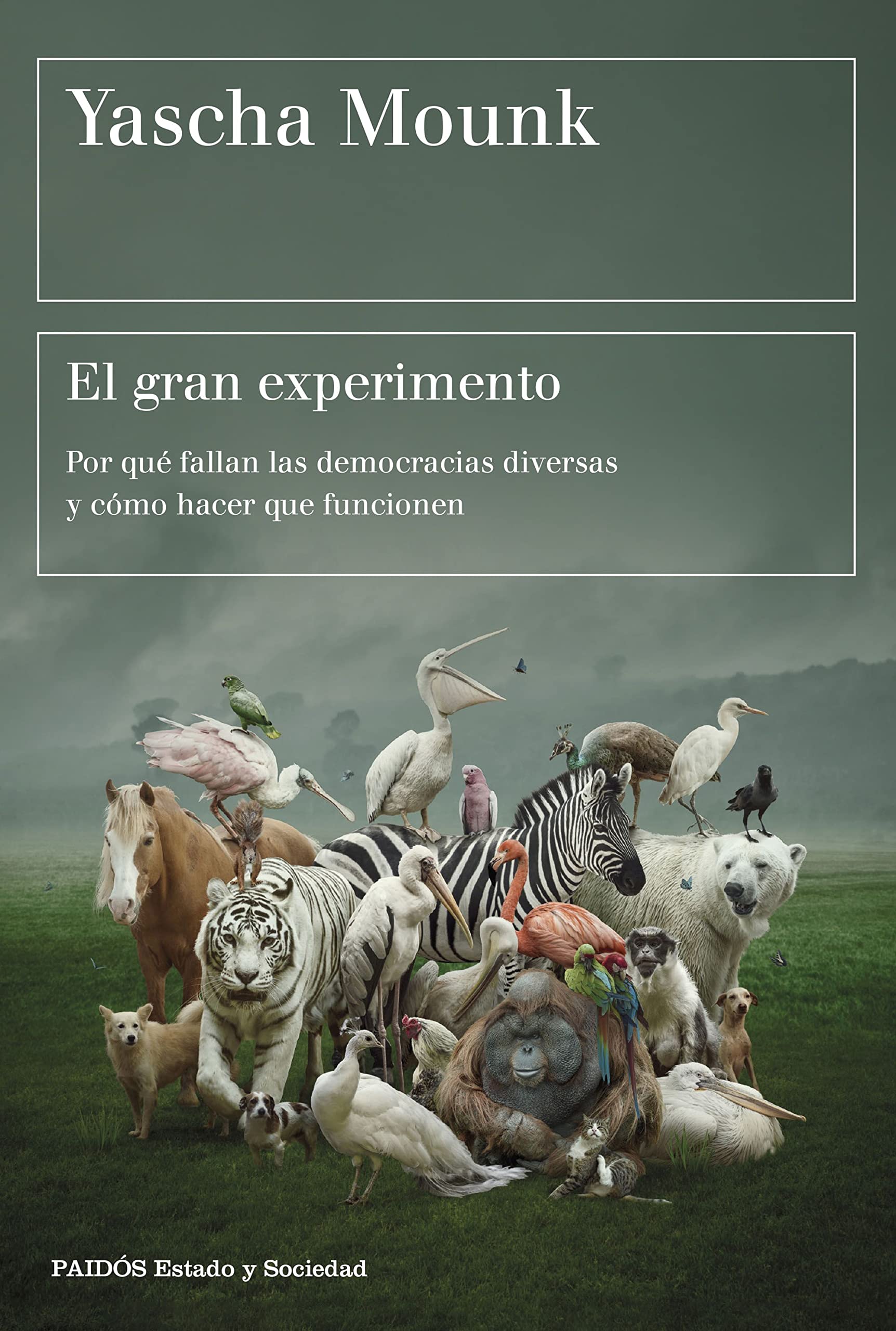 El gran experimento: Por qué fallan las democracias diversas y cómo hacer que funcionen (Estado y Sociedad) Philosophy