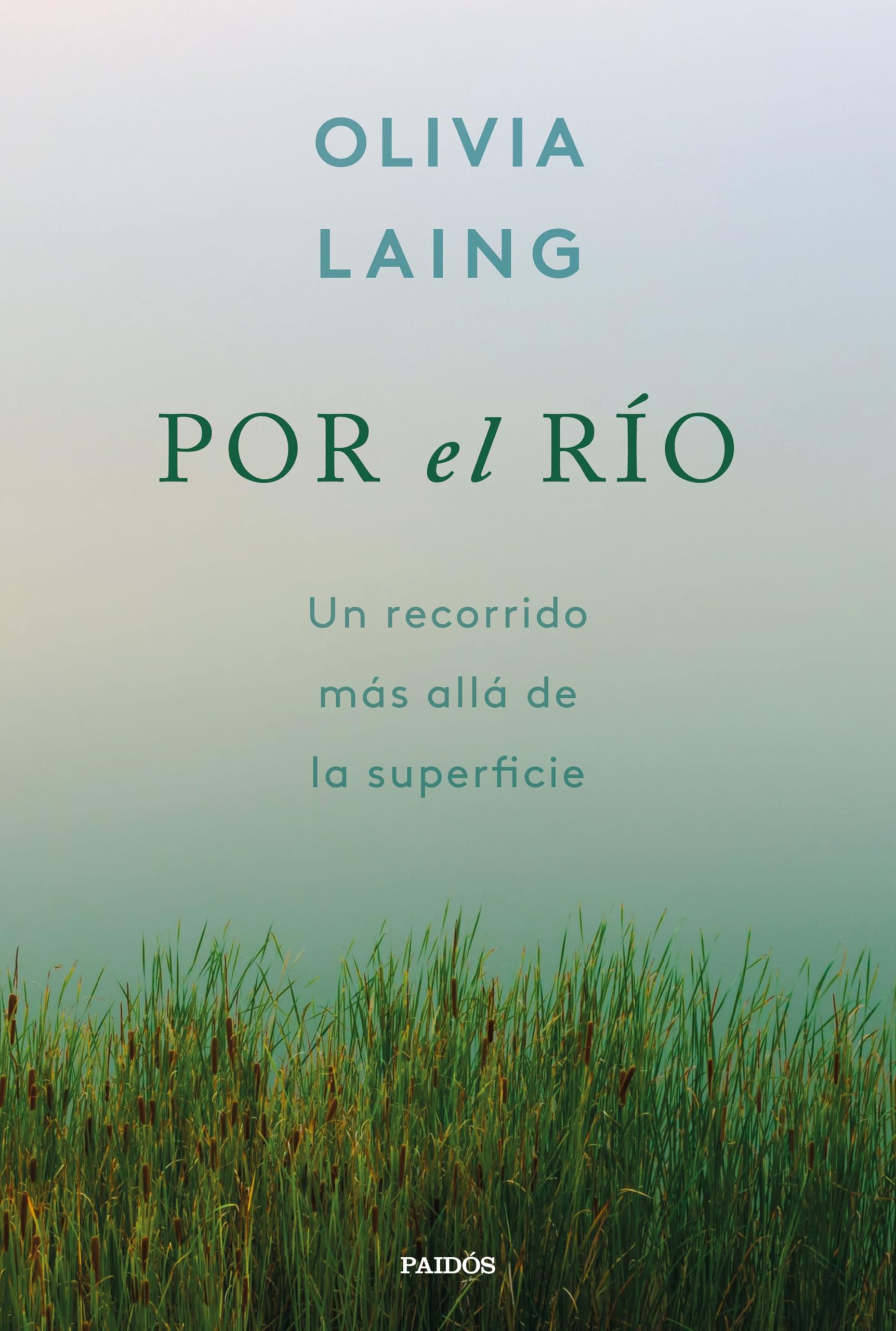 Por el río: Un recorrido más allá de la superficie (Contextos) Essays & Short Stories