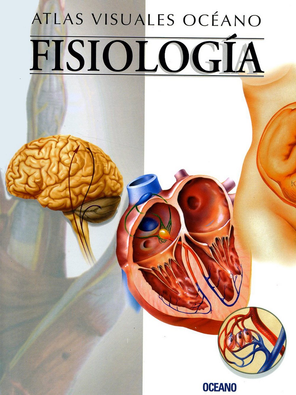 Atlas Visual de Fisiologia (Atlas visuales Océano) Foreign Languages ​​& Dictionaries
