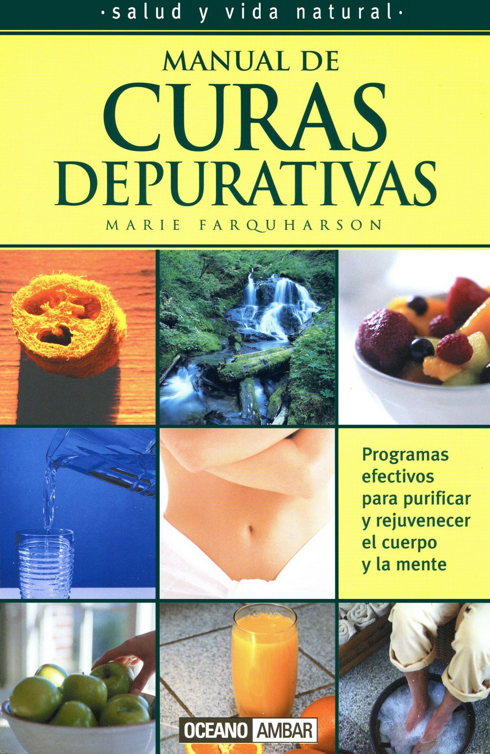 Manual De Curas Depurativas/Manual of Purifying Remedies: LA Desintoxicacion Natural Health, Nutrition & Fitness