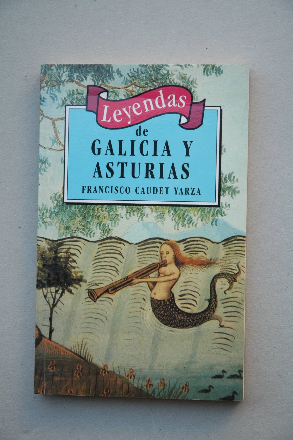 Leyendas de Galicia y Asturias Books