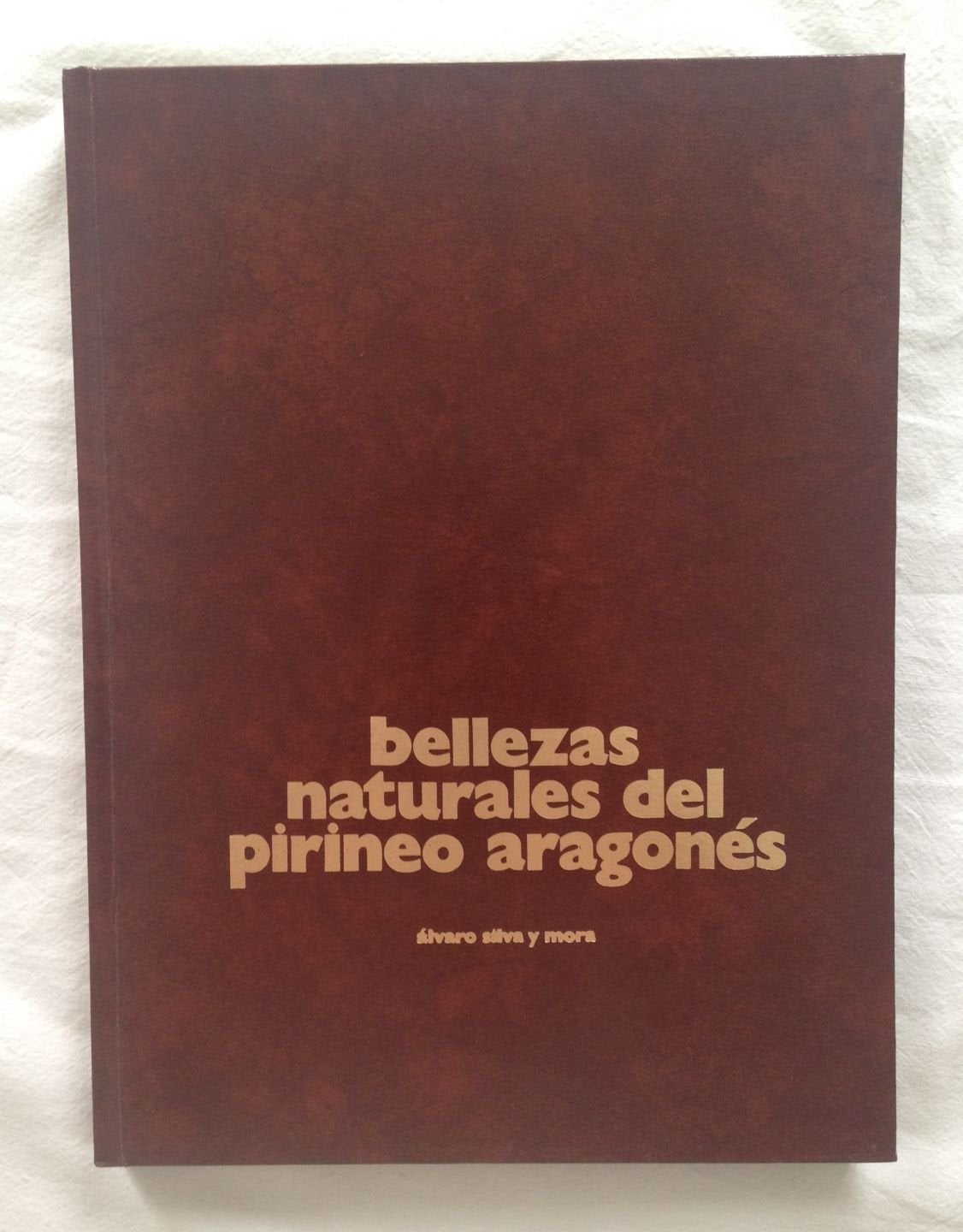 Bellezas naturales del Pirineo Aragones (Publicaciones de la Caja de Ahorros ... book