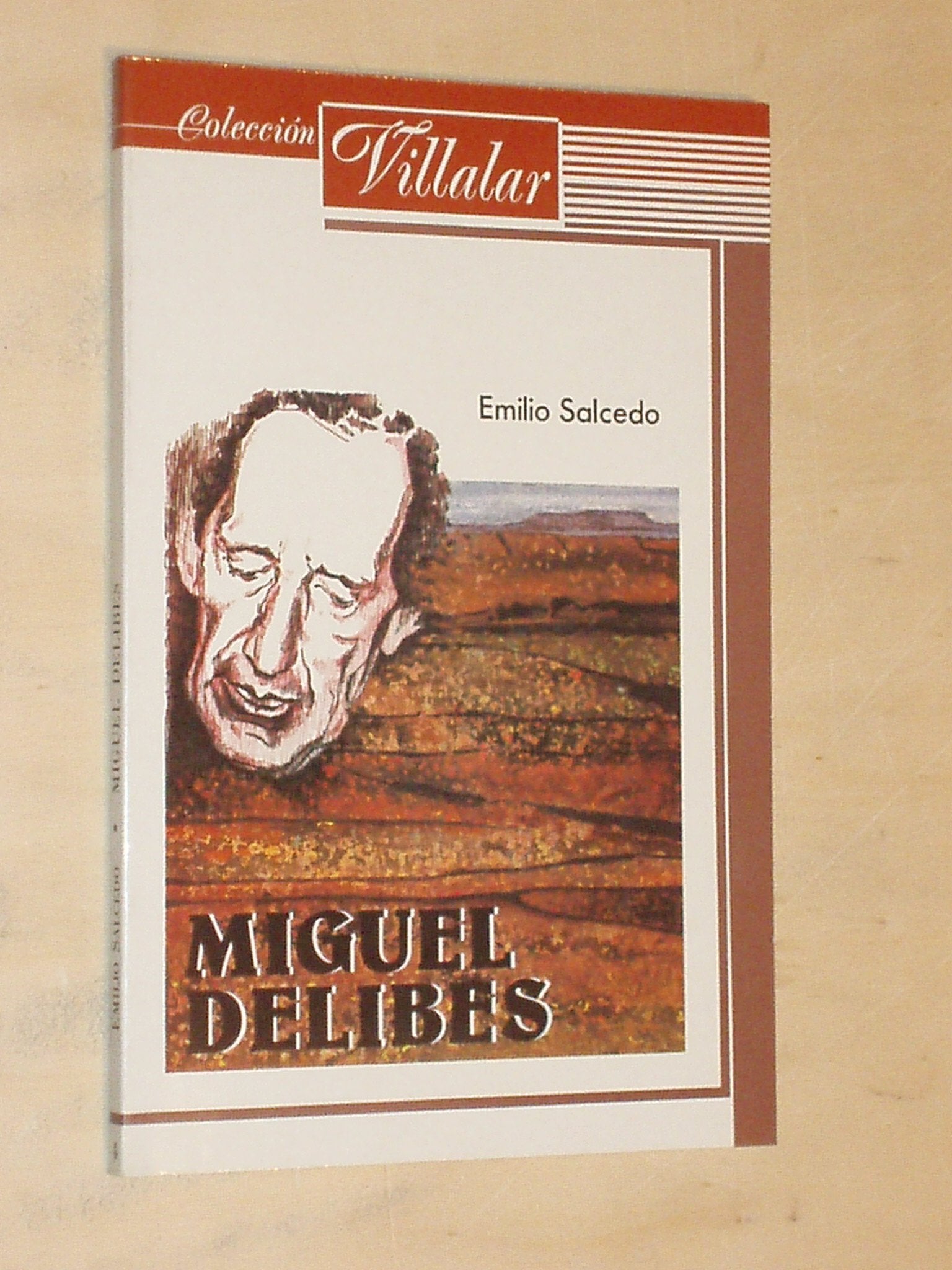 Miguel delibes book