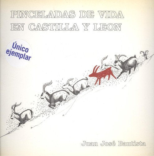 Pinceladas de vida en Castilla y León. book