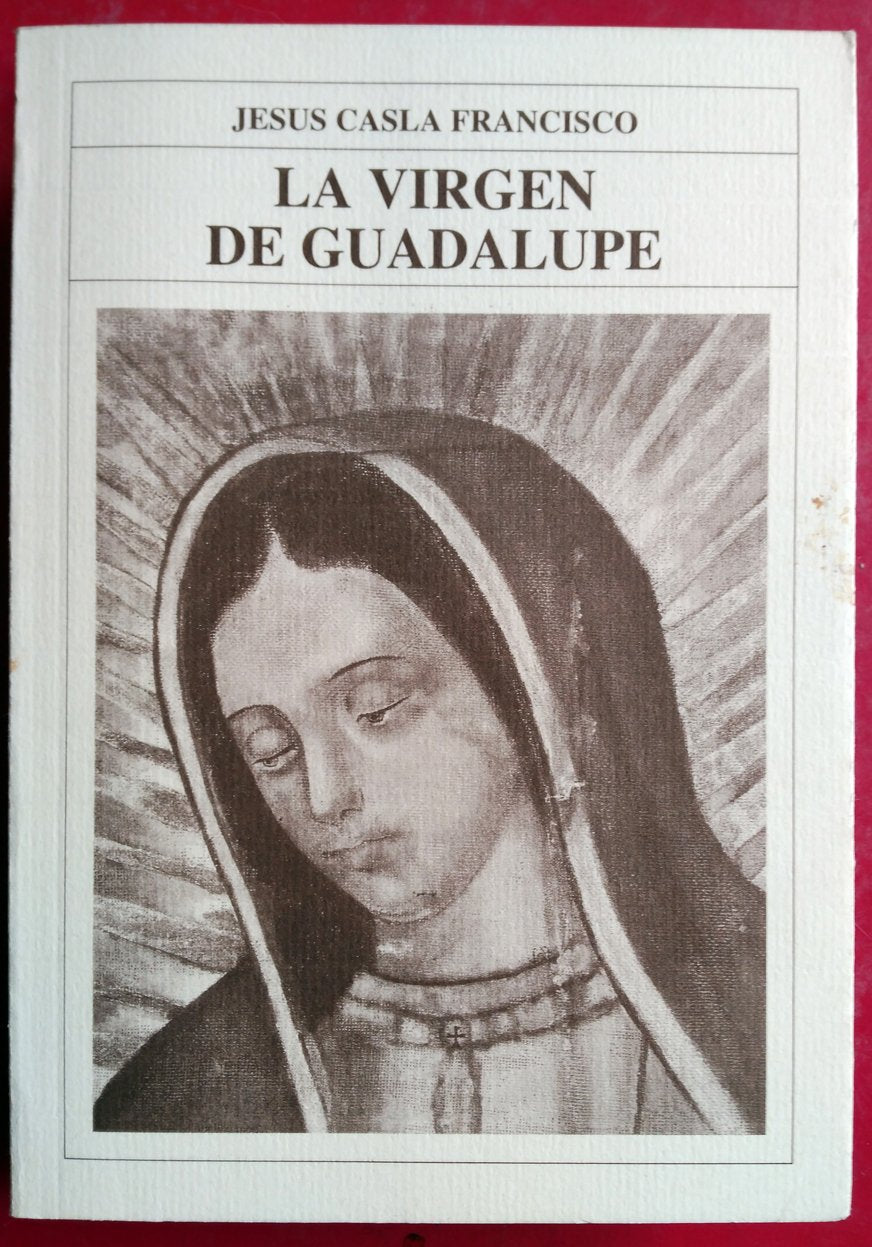 La Virgen de Guadalupe book
