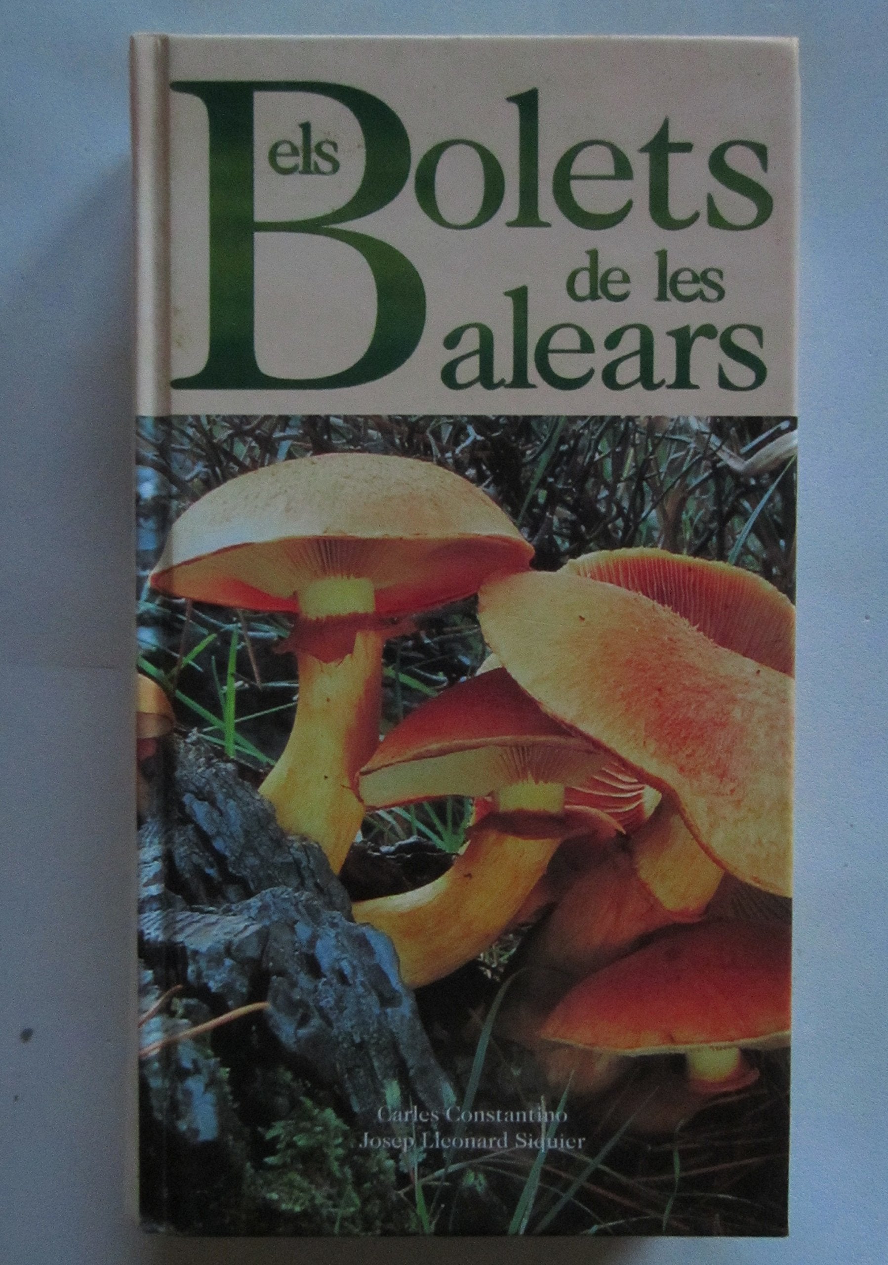 Els bolets de les balears : boletsde les balears book