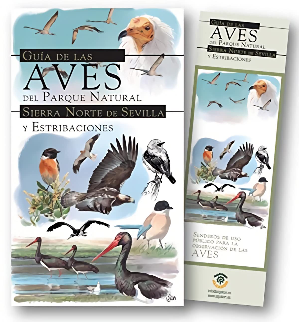 Guía de las aves del Parque Natural Sierra Norte de Sevilla y estribaciones Books