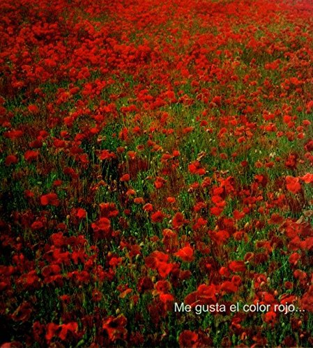 Imanol marrodan: me gusta el colorrojo (cat. exposicion) book