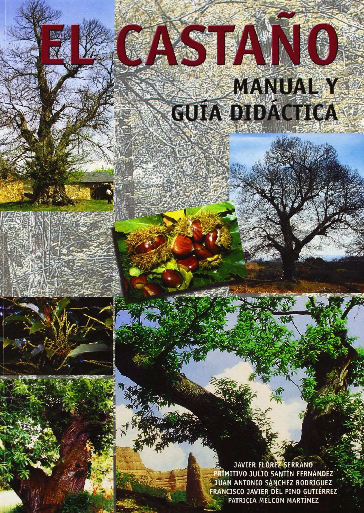 El castaño book