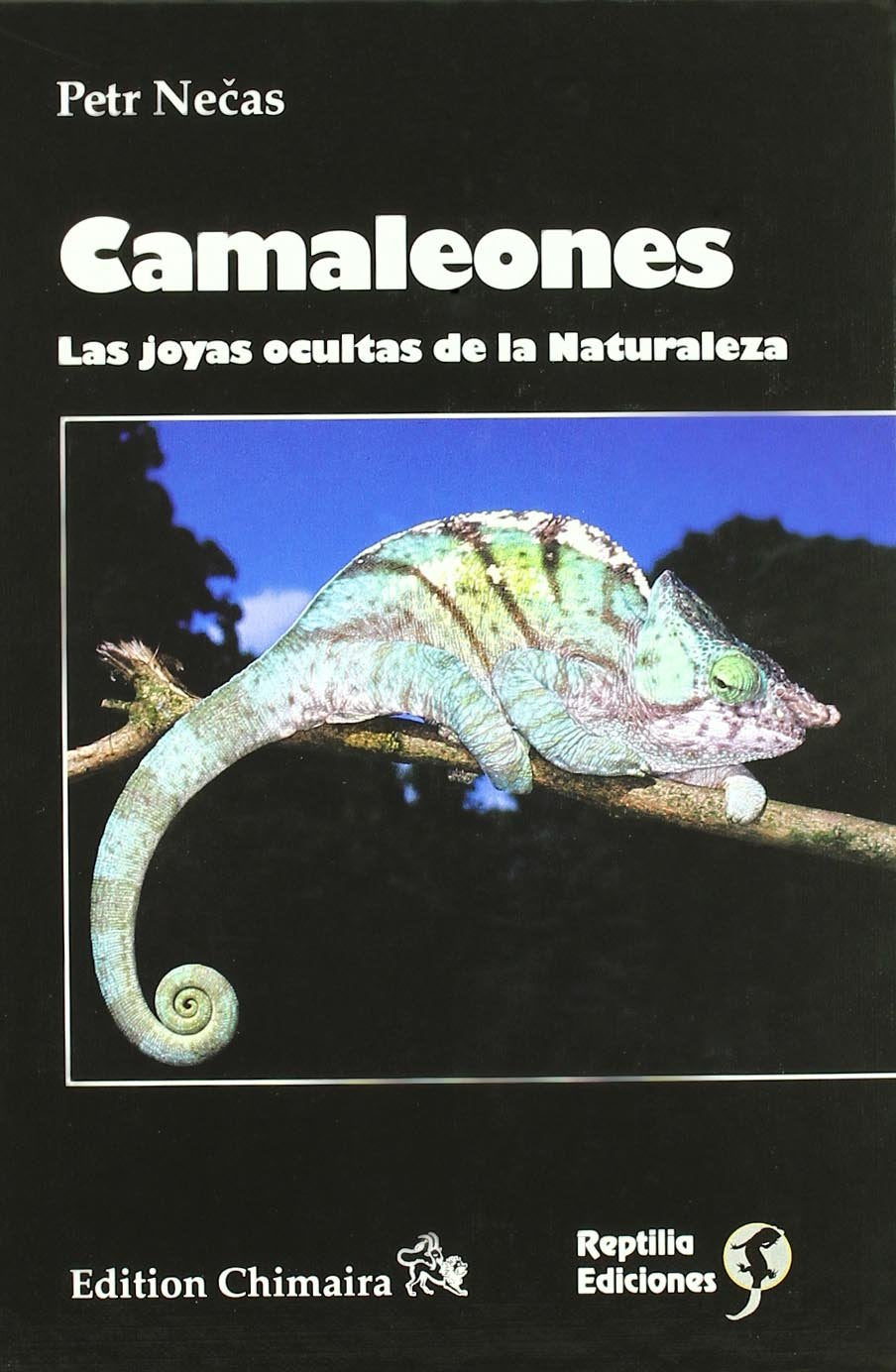 Camaleones : las joyas ocultas de la naturaleza book