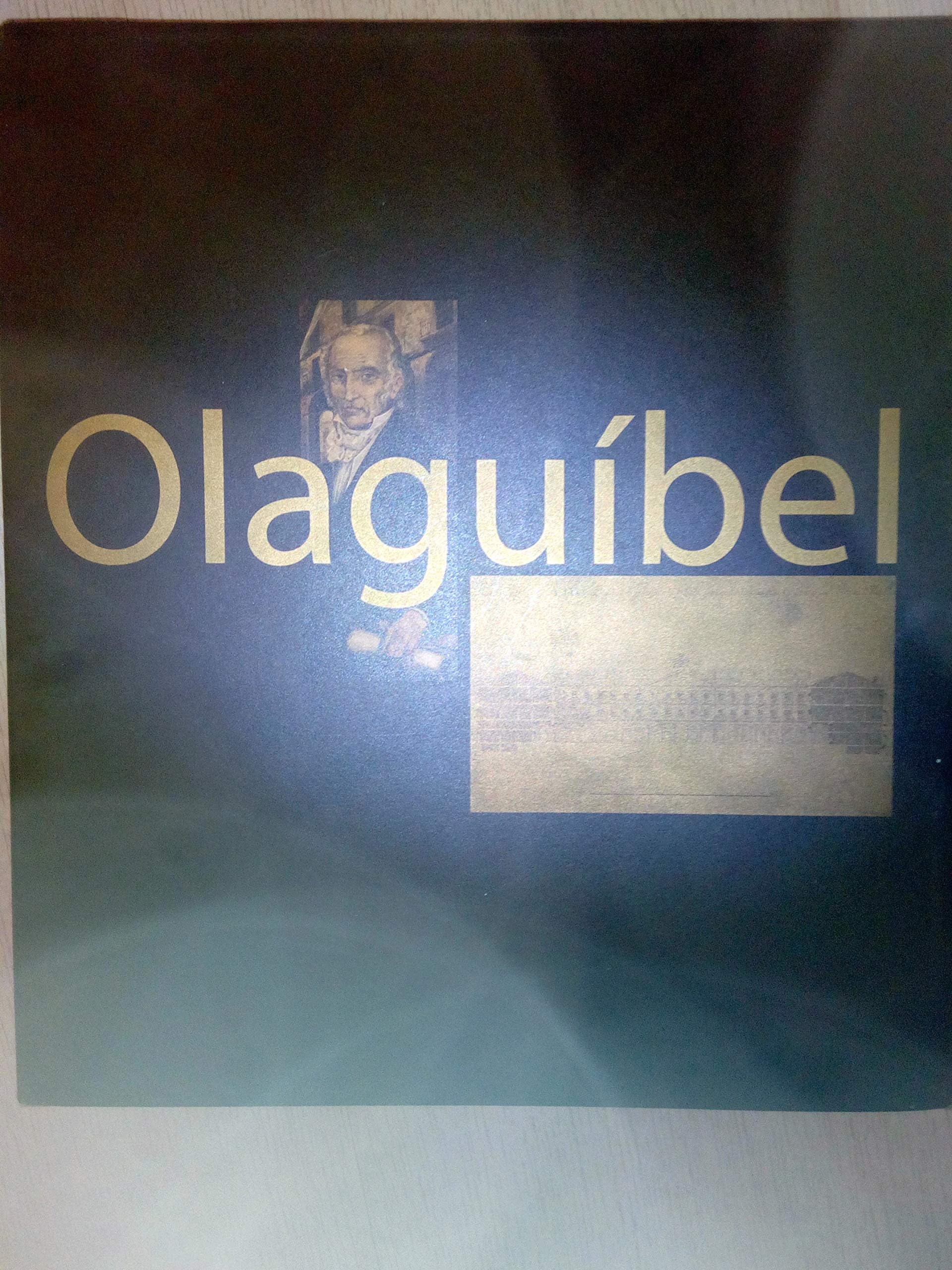 Olaguibel: arquitecto de Vitoria book