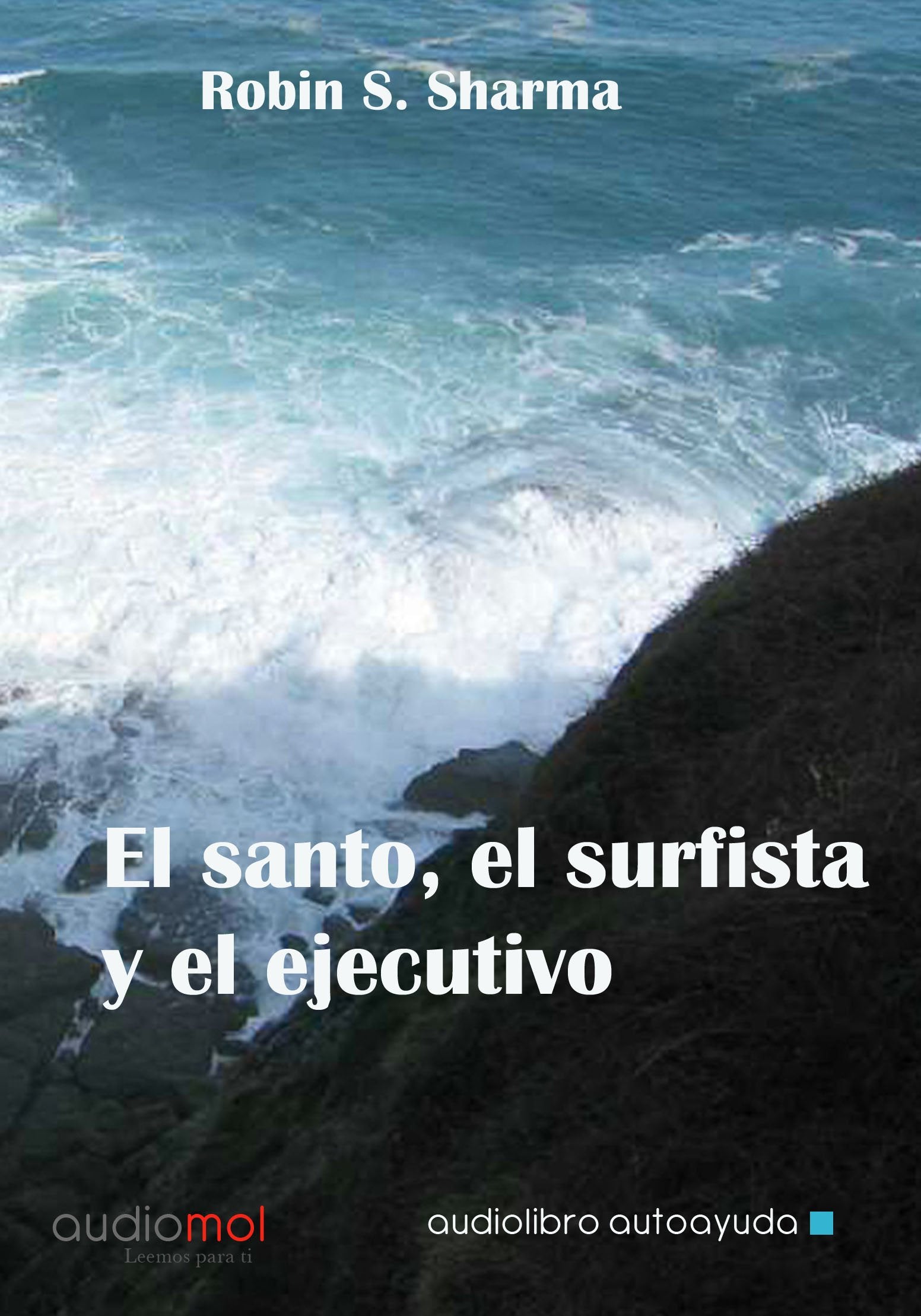 El santo, el surfista y el ejecutivo book