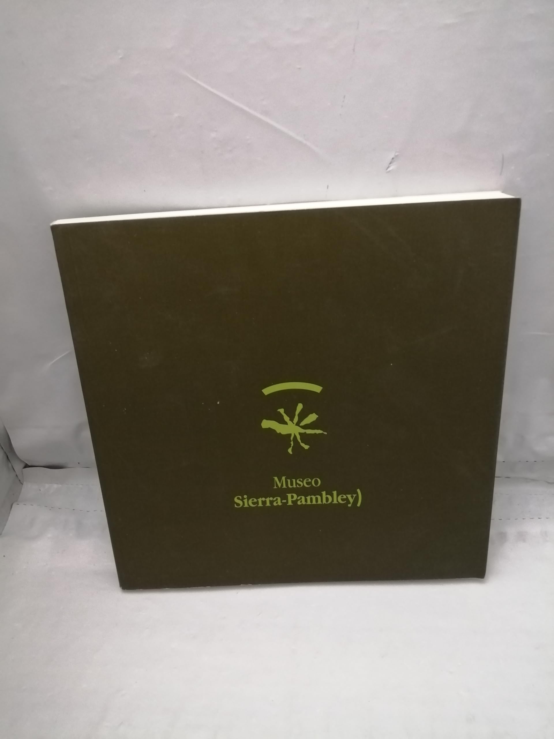Museo Sierra pambley book