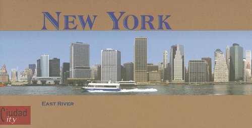 New York, East River Architecture