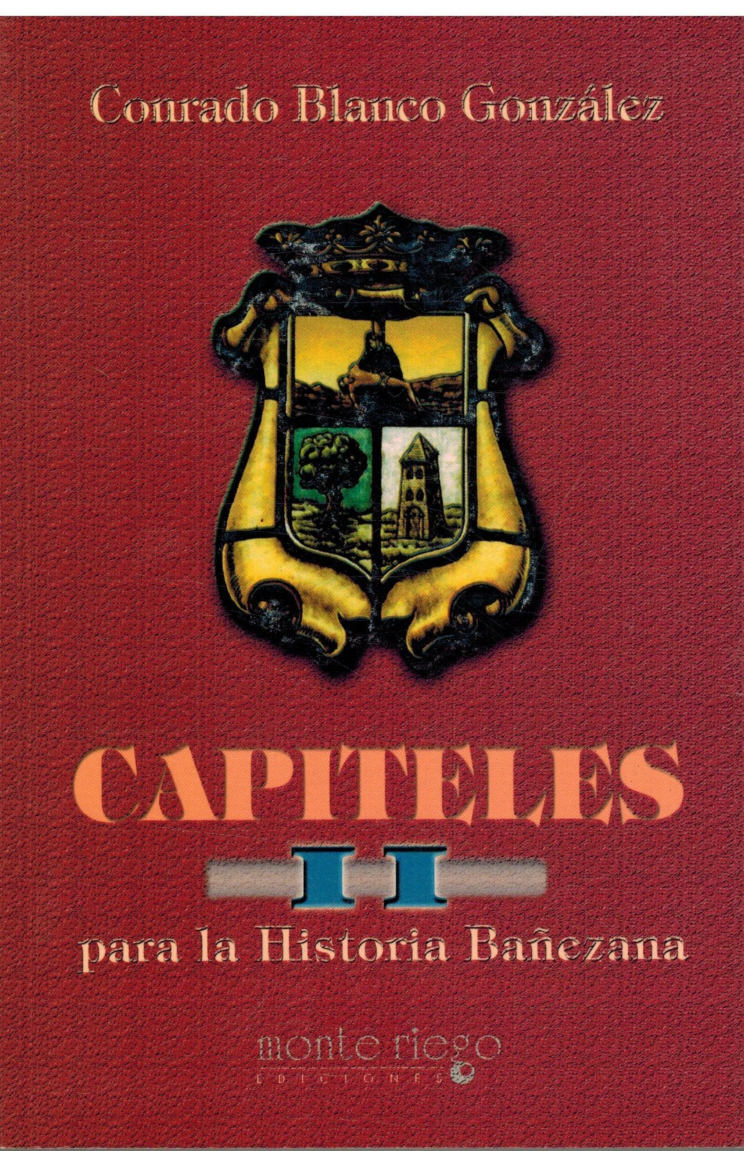 Capiteles para la historia bañezana Books