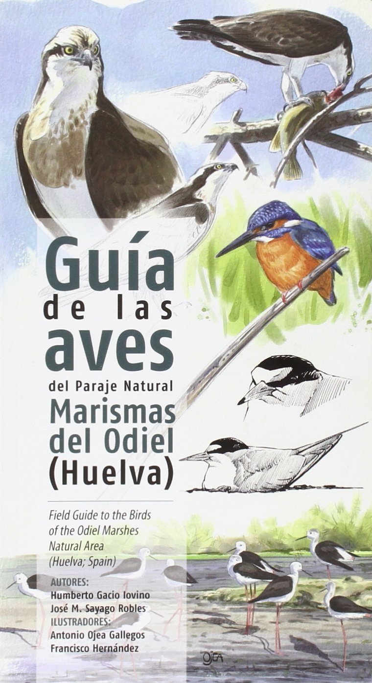 Guía de las aves del paraje natural Marismas del Odiel (Huelva) book