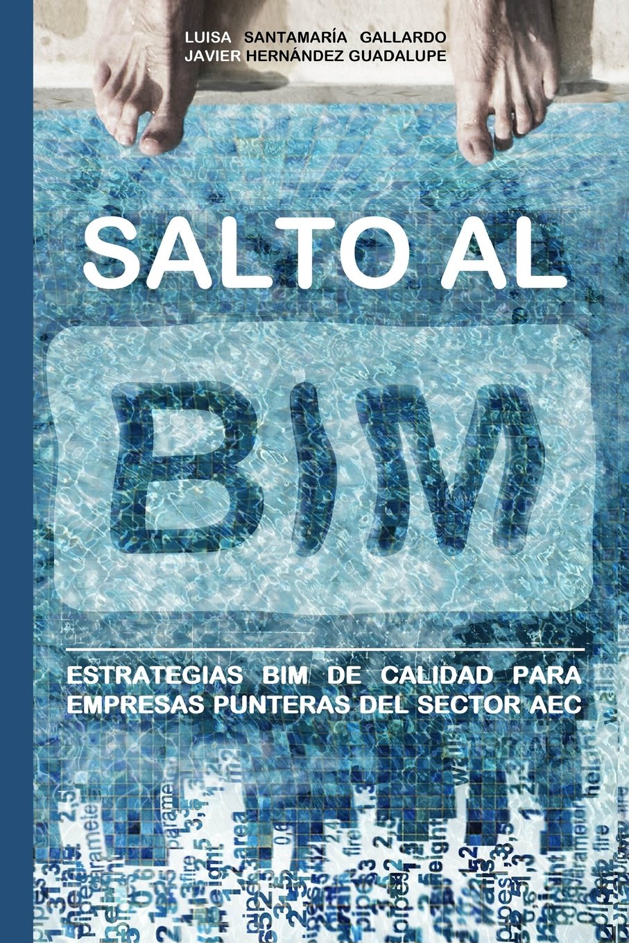 Salto al BIM: Estrategias BIM de calidad para empresas punteras del sector AEC book