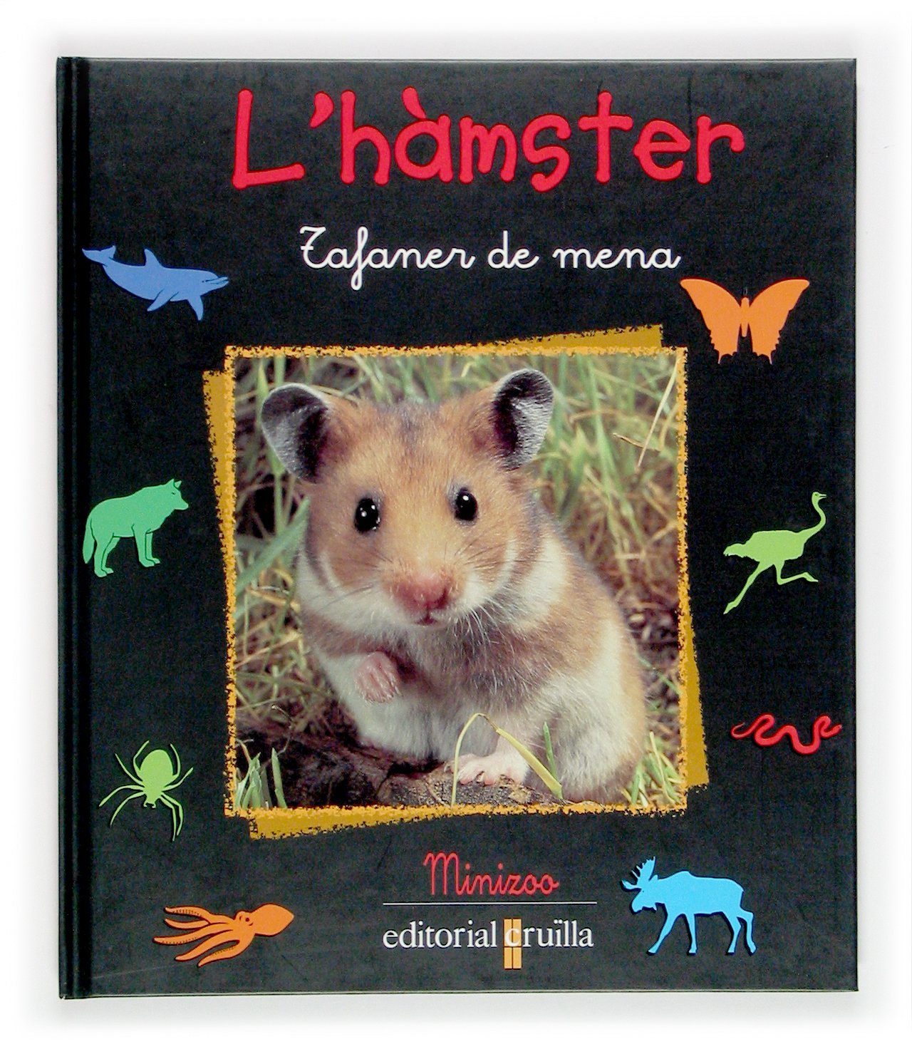 Starosta, P: L'hamster Children's books