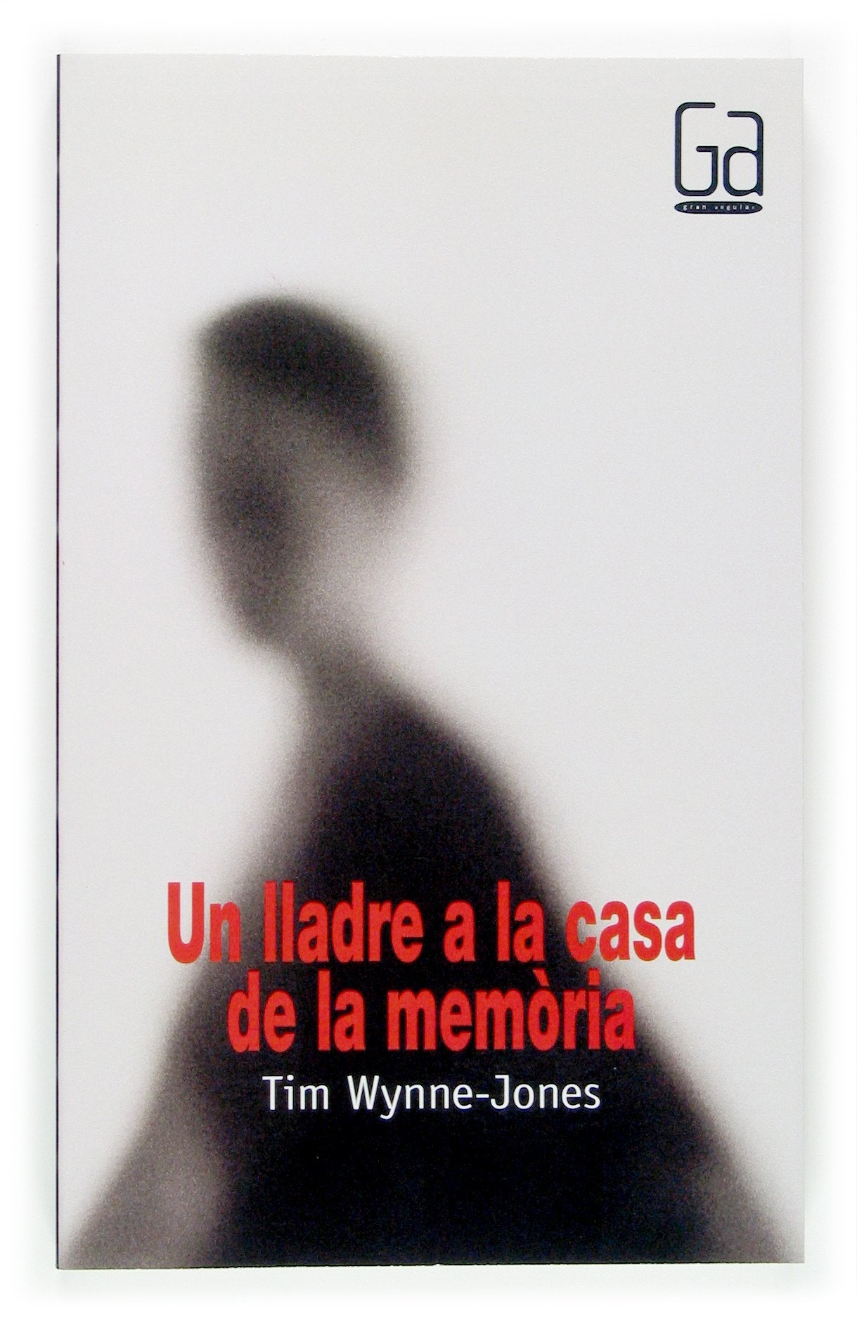 Un lladre a la casa de la memòria book