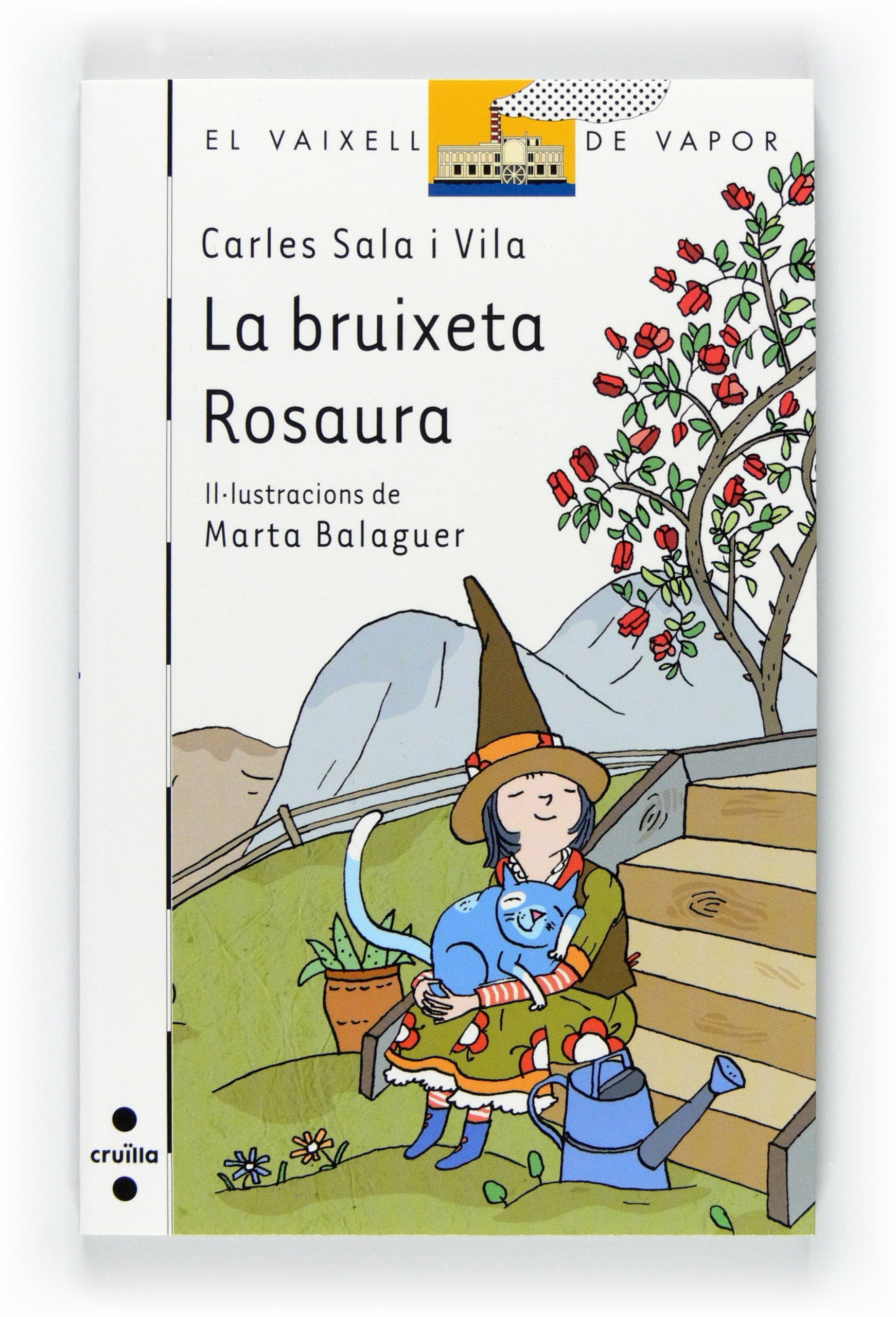 La bruixeta Rosaura Social Sciences