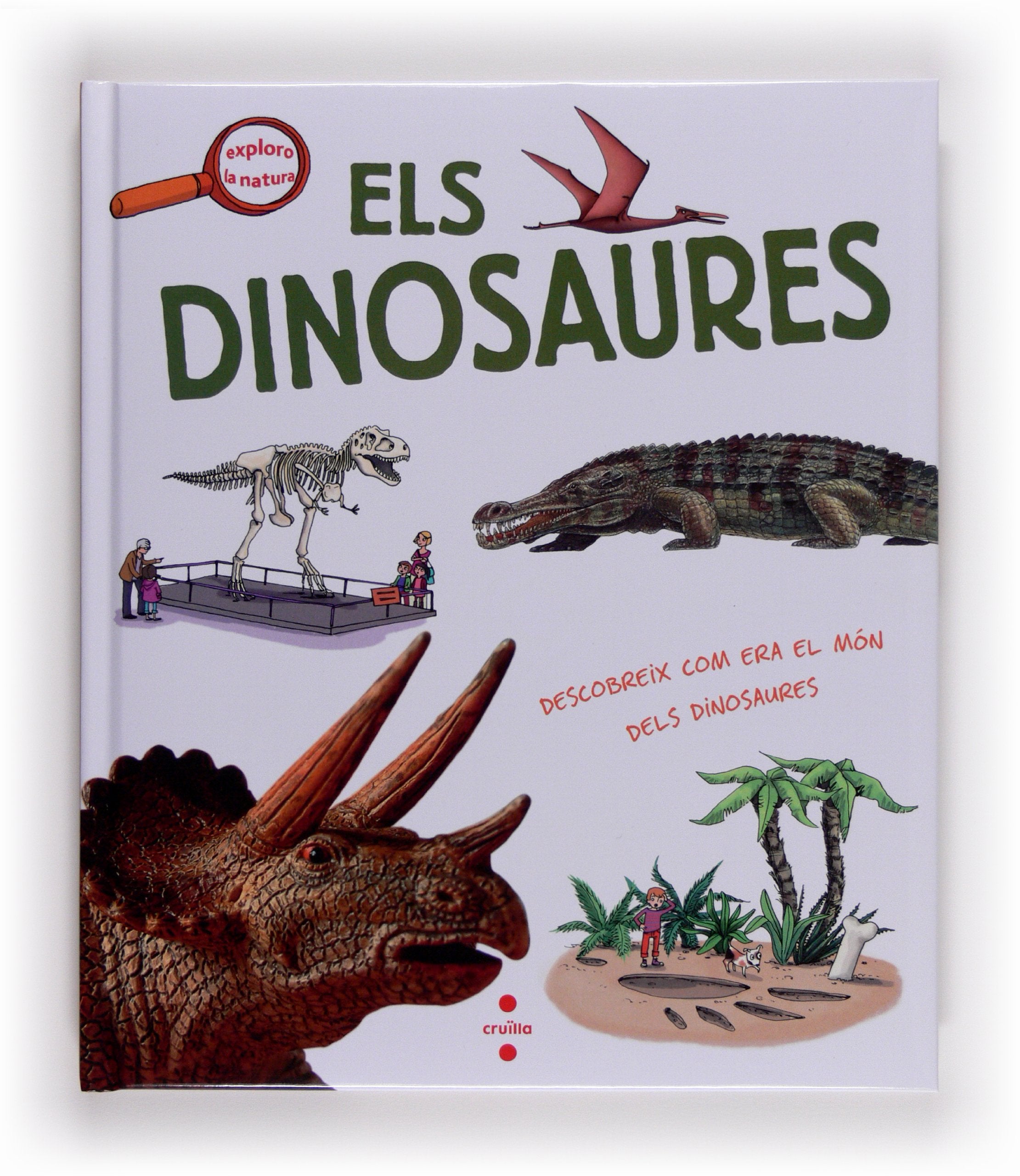 Els dinosaures book