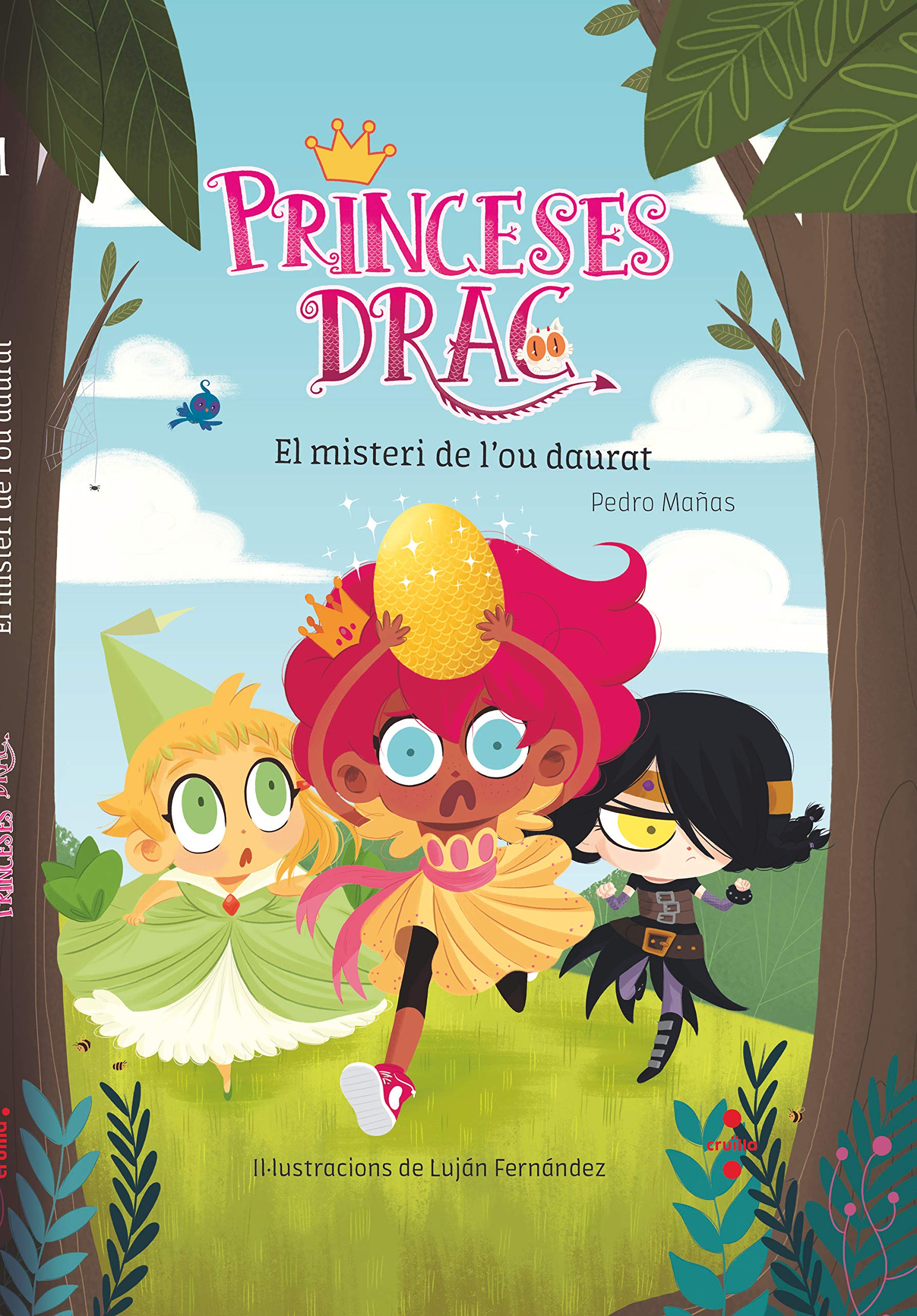 El misteri de l'ou daurat (Princeses Drac) Social Sciences