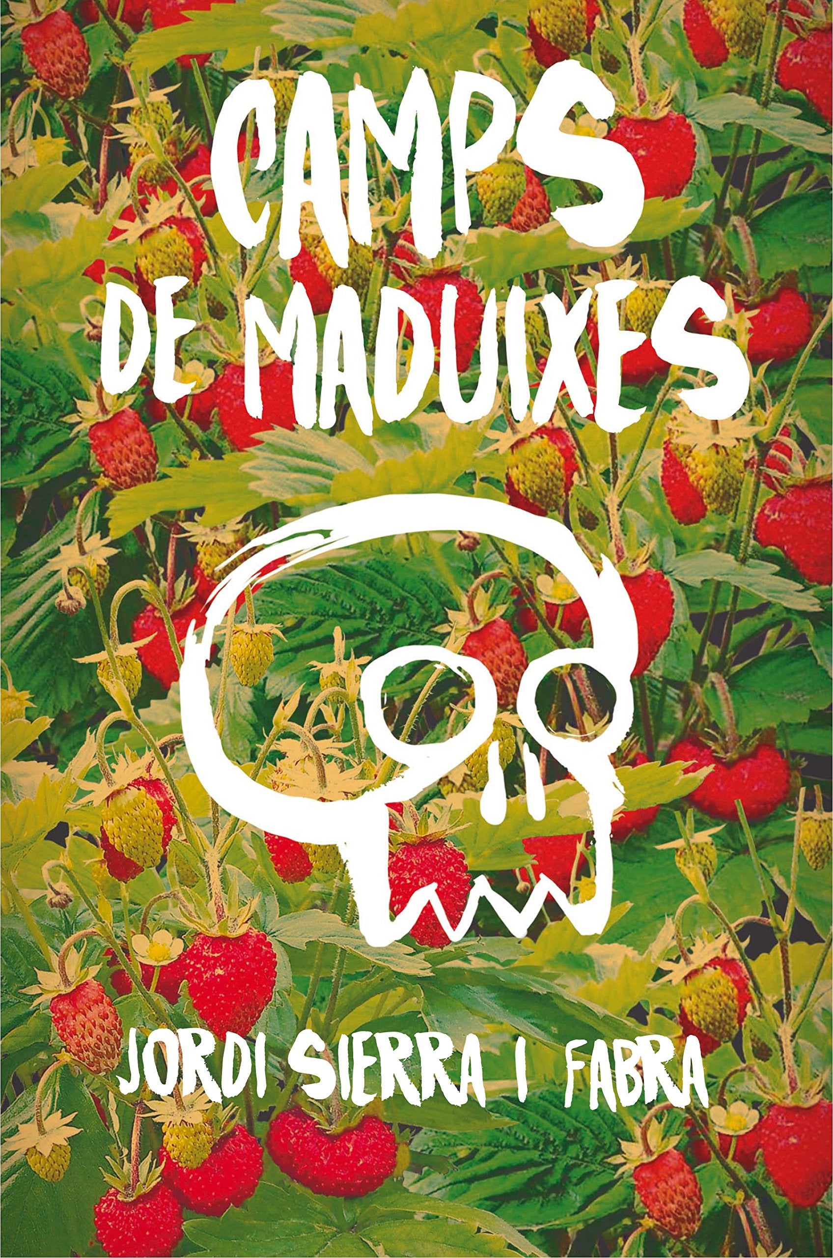 Camps de maduixes Social Sciences